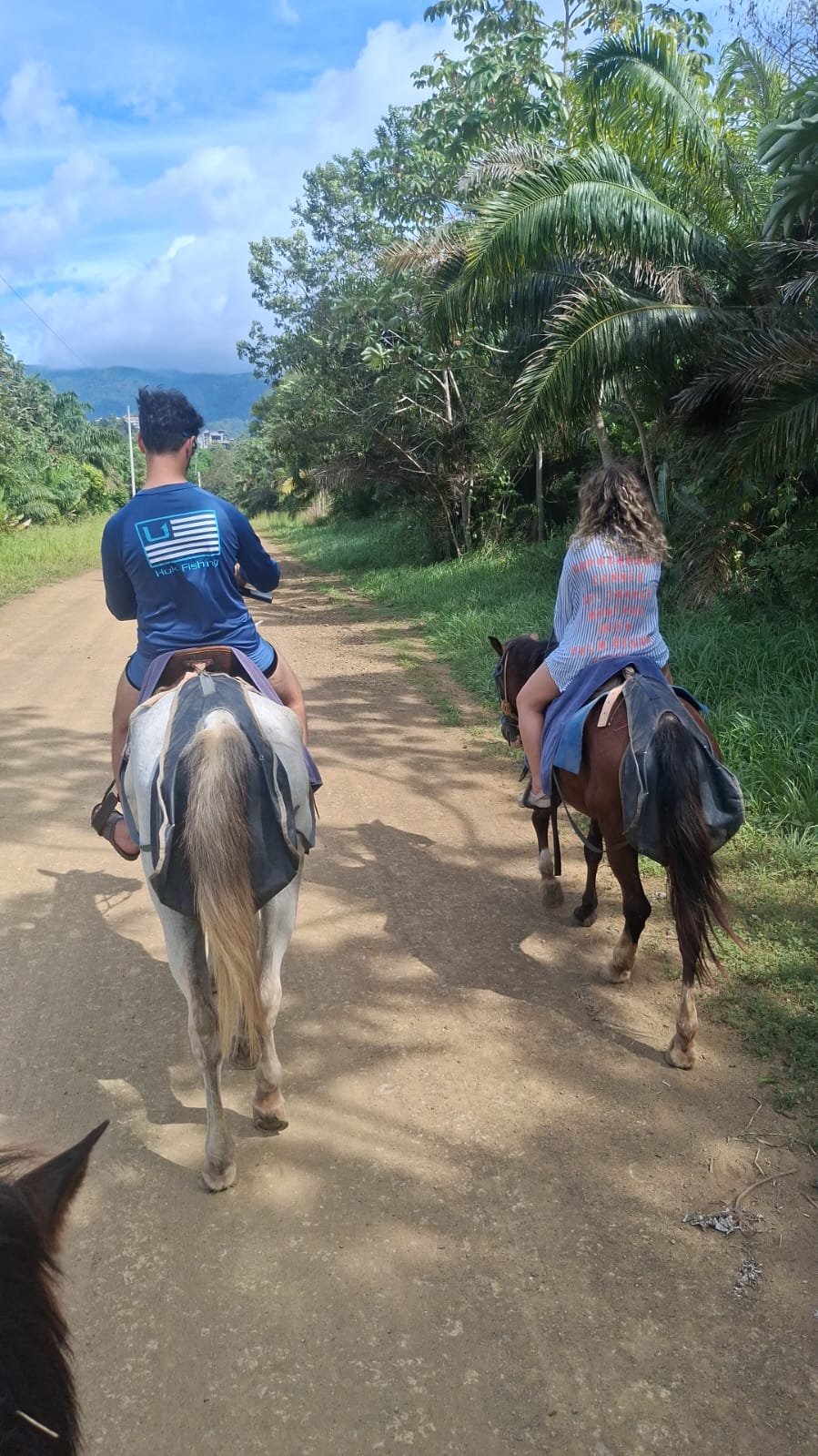 Jaco Horseback
