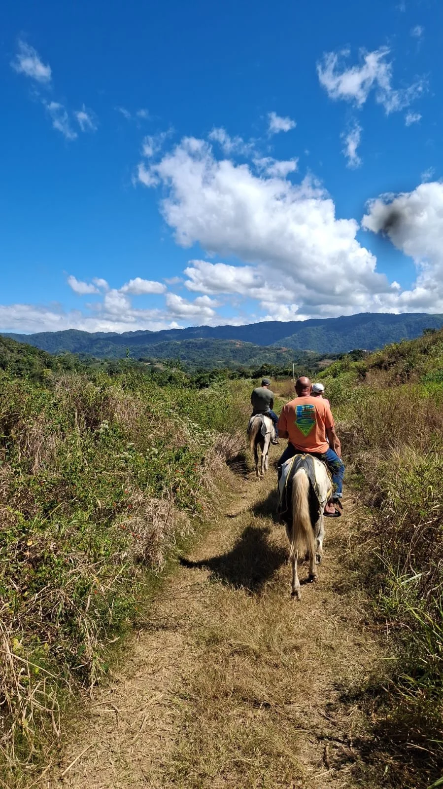 Jaco Horseback