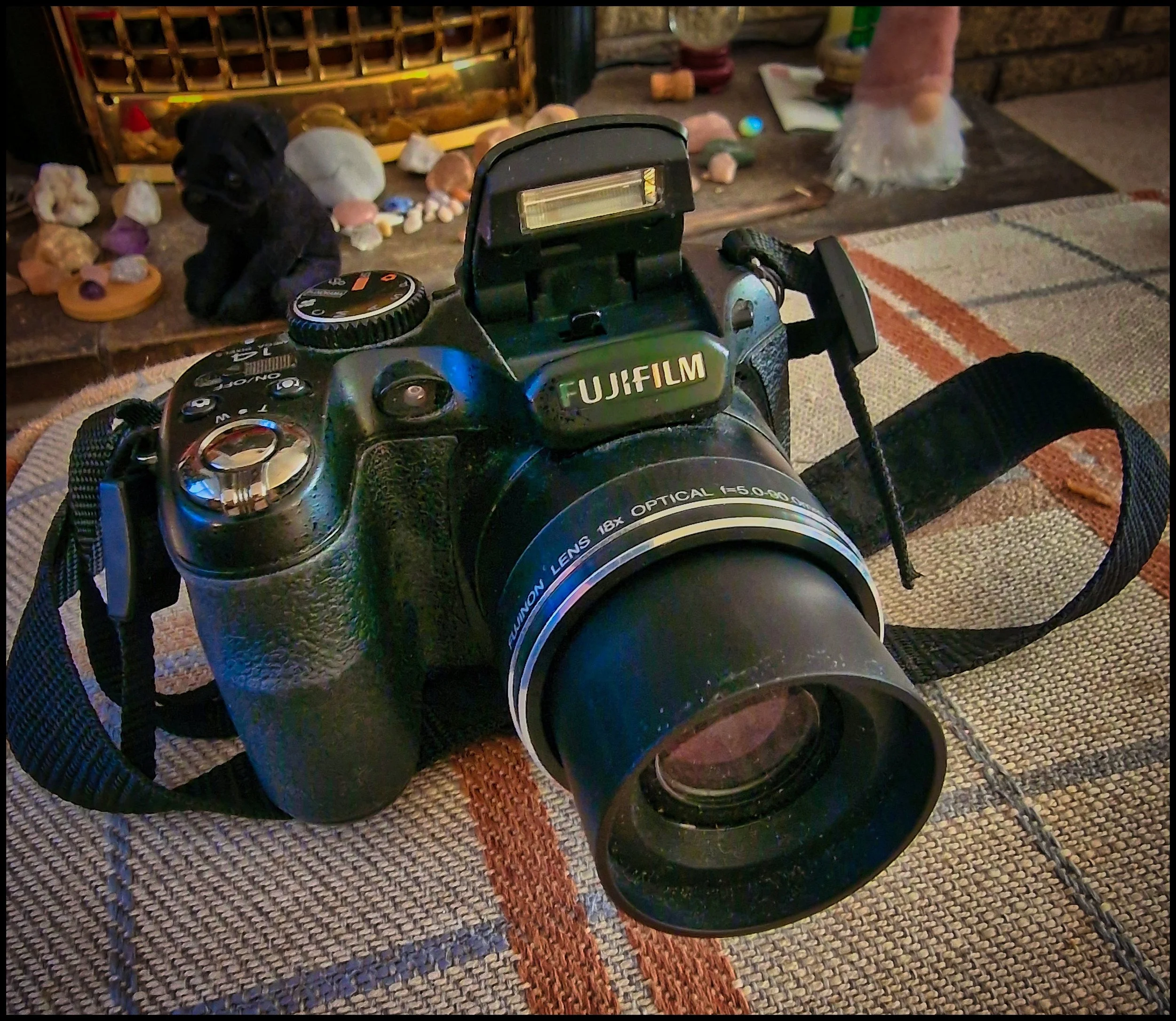 Fujifilm Finepix S2950 - a.k.a. Monty Mono