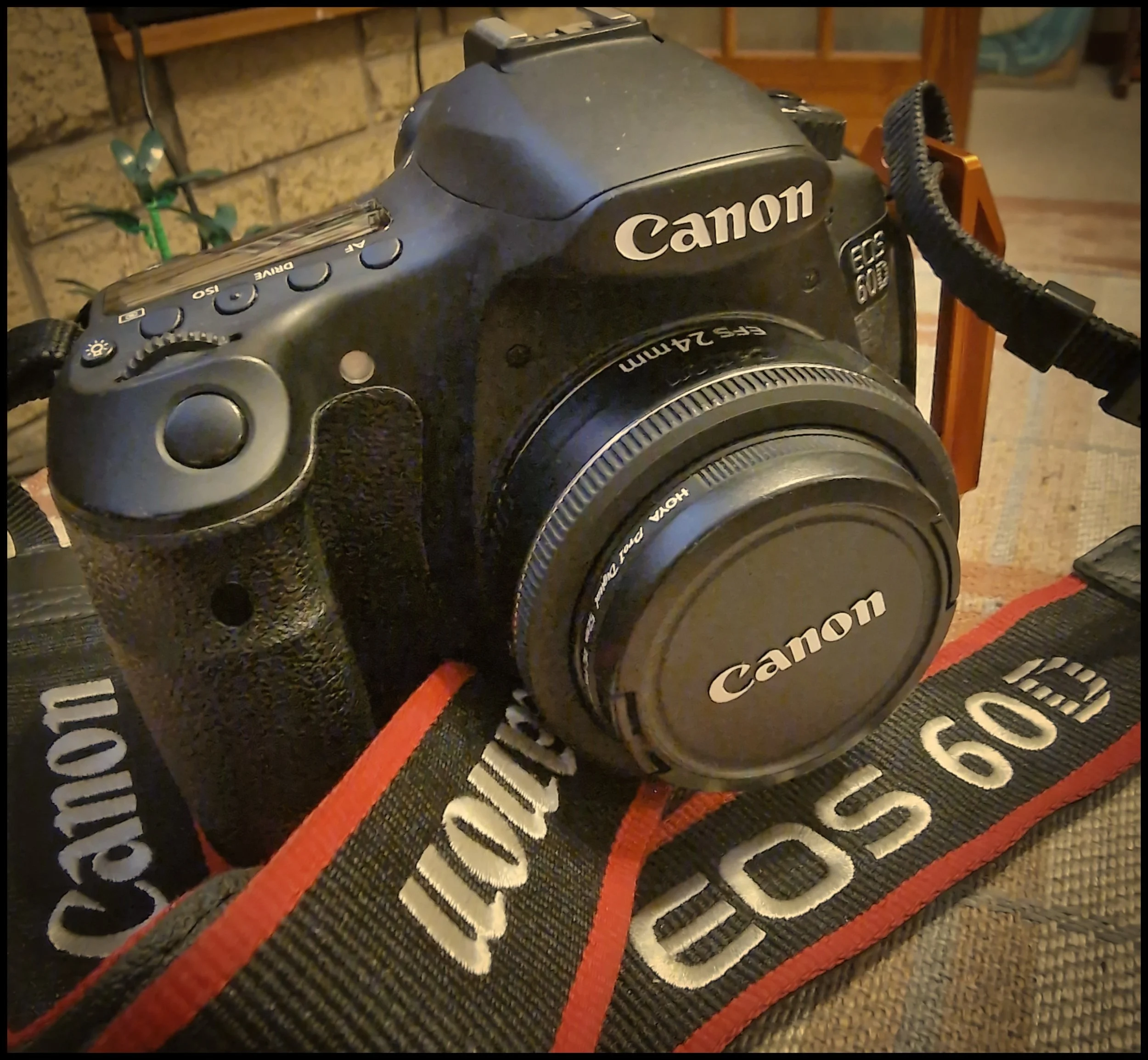 Canon 60D - a.k.a. Sid Dee