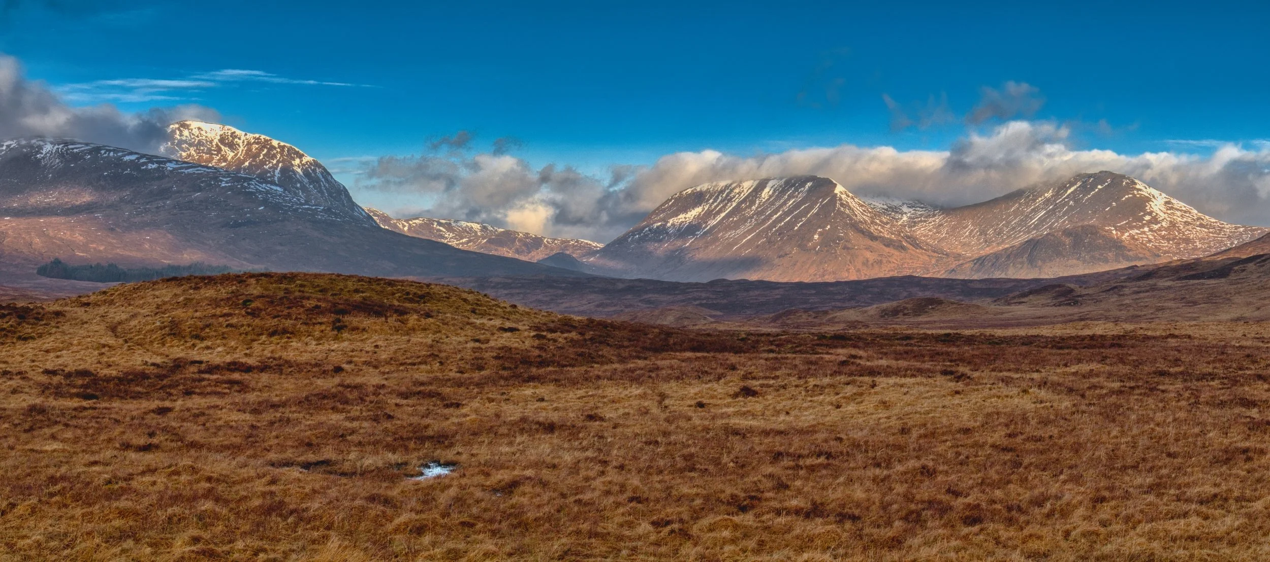 The vast, golden grasses of Rannoch Moor rolling towards the snow-dusted peaks of the Black Mount range under a vibrant blue sky. Fine art Scottish landscape photography capturing the immense scale, wild textures, and dramatic light of the Highland w