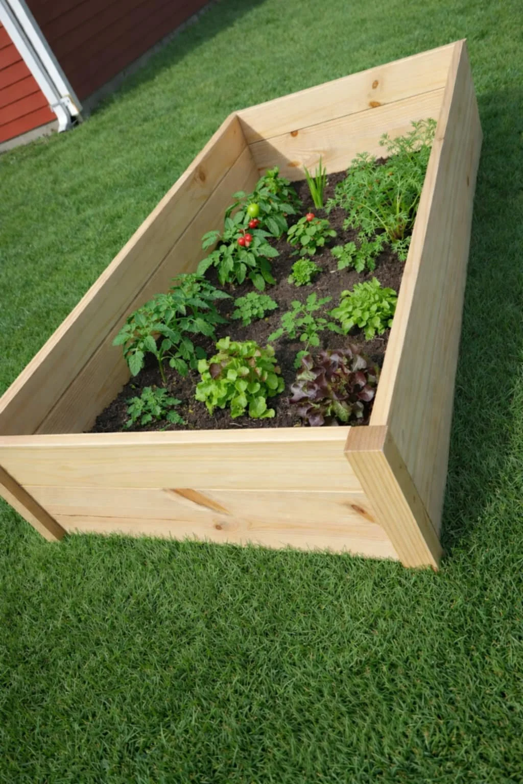 Open-bottom pressure treated lumber planter box planted with vegetables and herbs, outdoor wooden planter box installed directly on grass for in-ground growing.