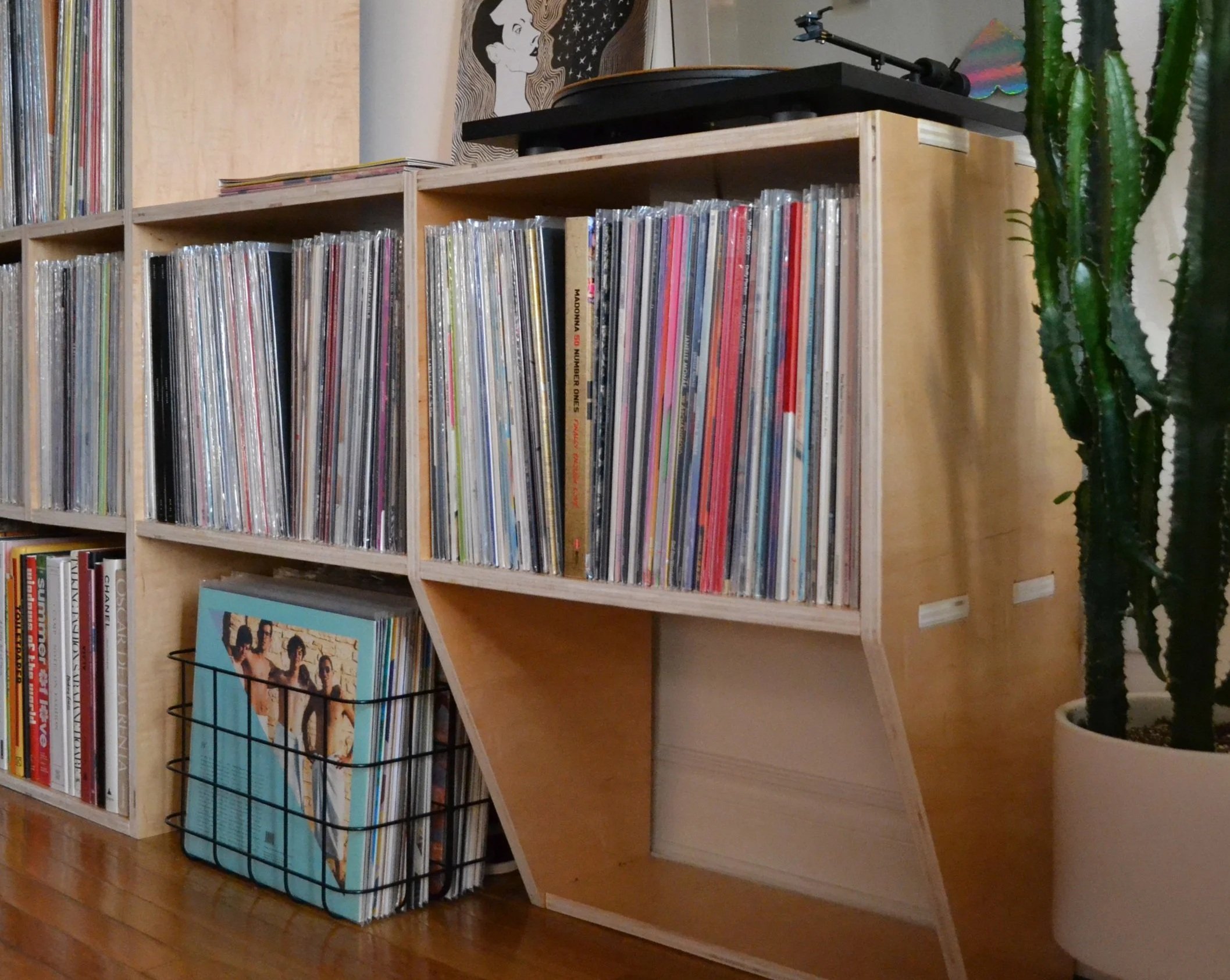 Wooden bookshelf filled with vinyl records, with a record player on top and a Cactus plant in a white pot nearby.