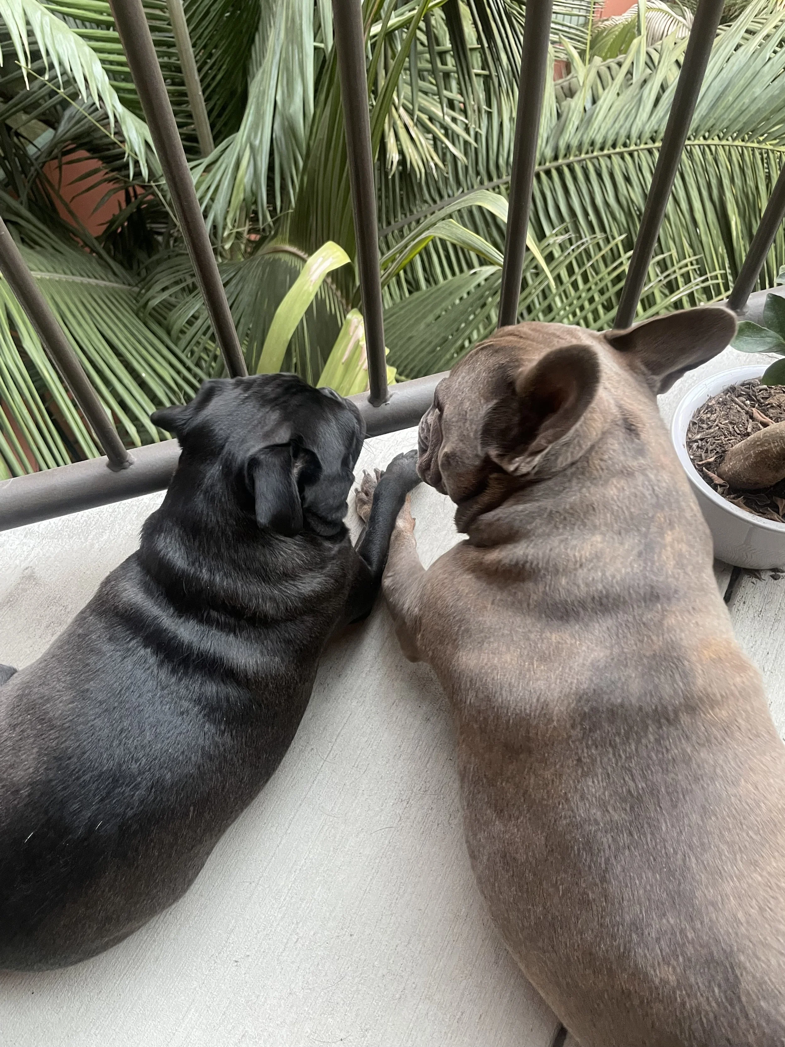 What makes me a good fit?