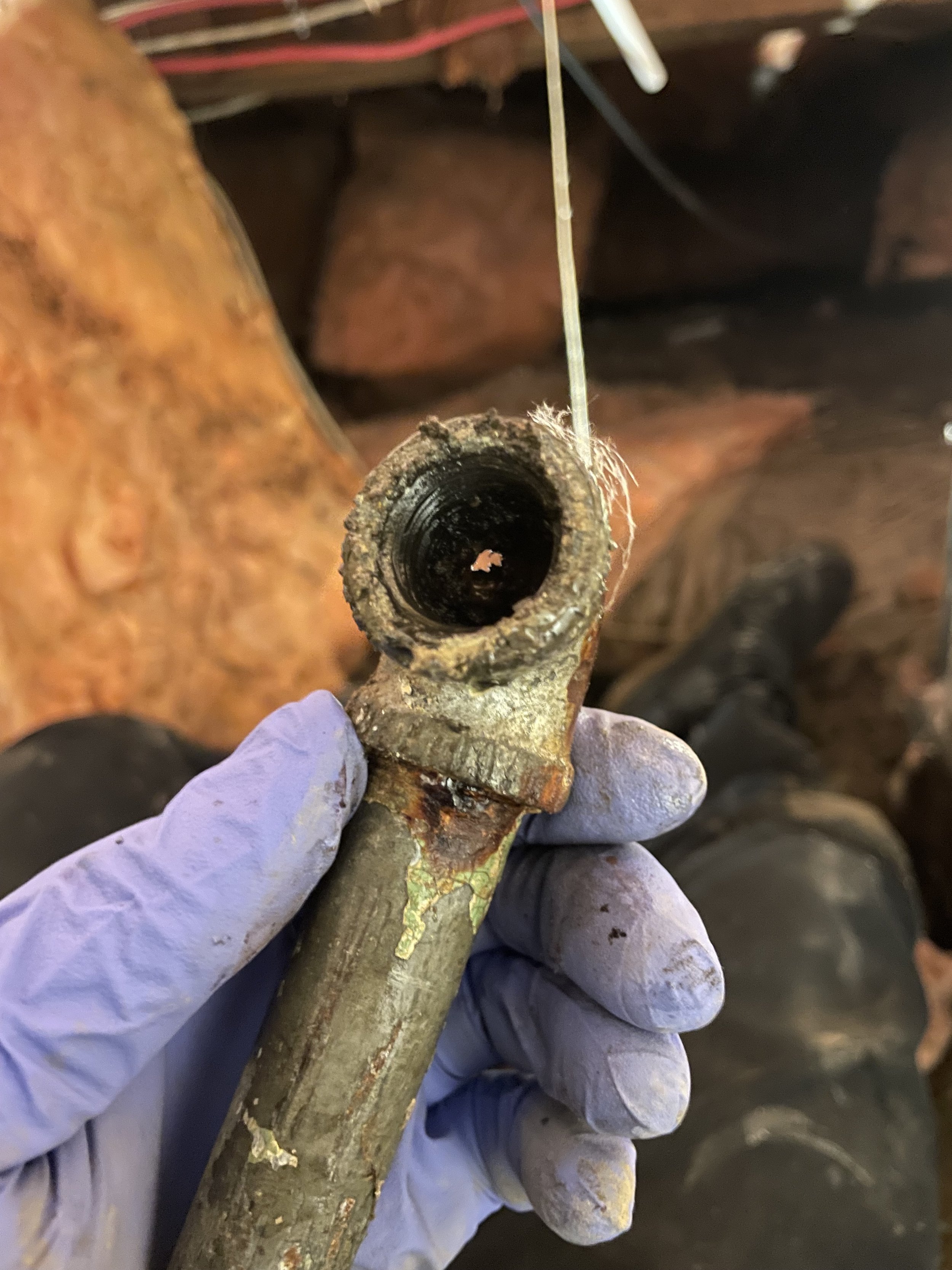 The Hidden Issues in Victoria Homes: A 2026 Guide to Plumbing "Time Bombs"