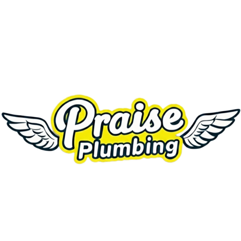 Praise Plumbing