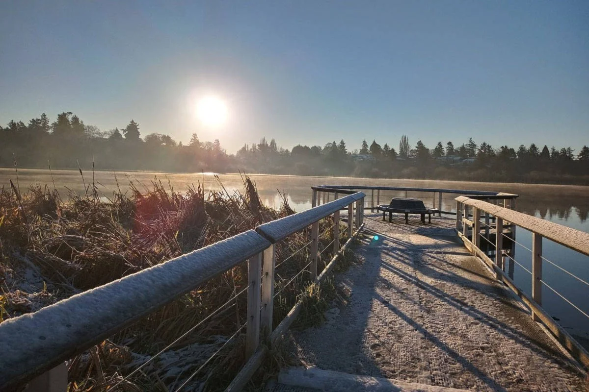 Frost-covered walkway and railings by a frozen body of water with trees in the background during sunrise or sunset.