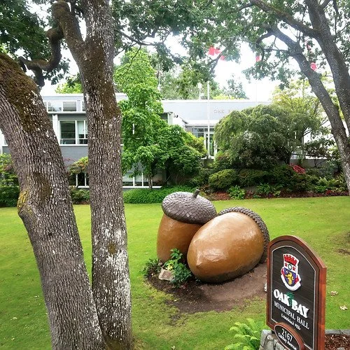 A park with two large acorn sculptures and a sign for Oak Bay Municipal Hall, with trees and residential buildings in the background.