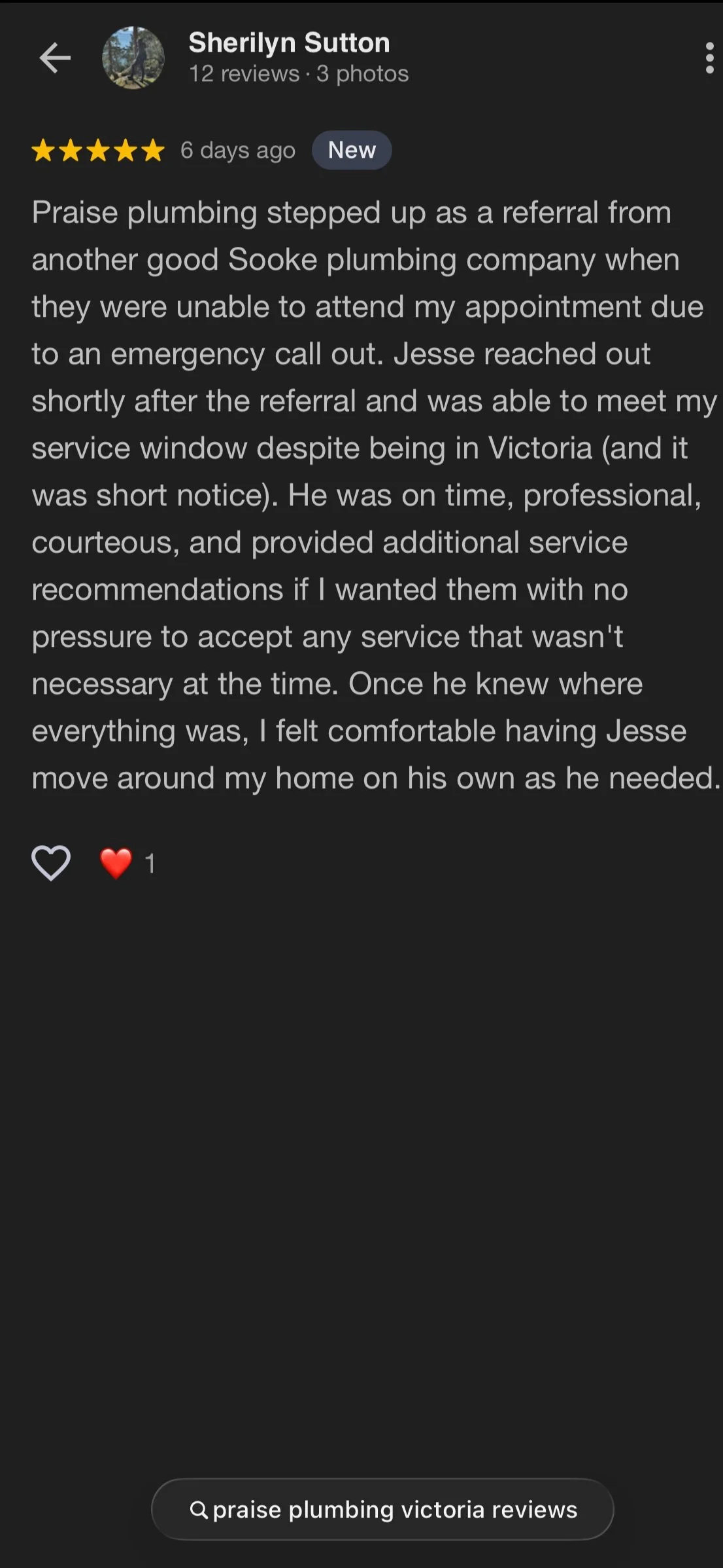 Screenshot of a Facebook review from Sherilyn Sutton praising Sooke plumbing, mentioning Jesse's quick response, professionalism, and helpful service.
