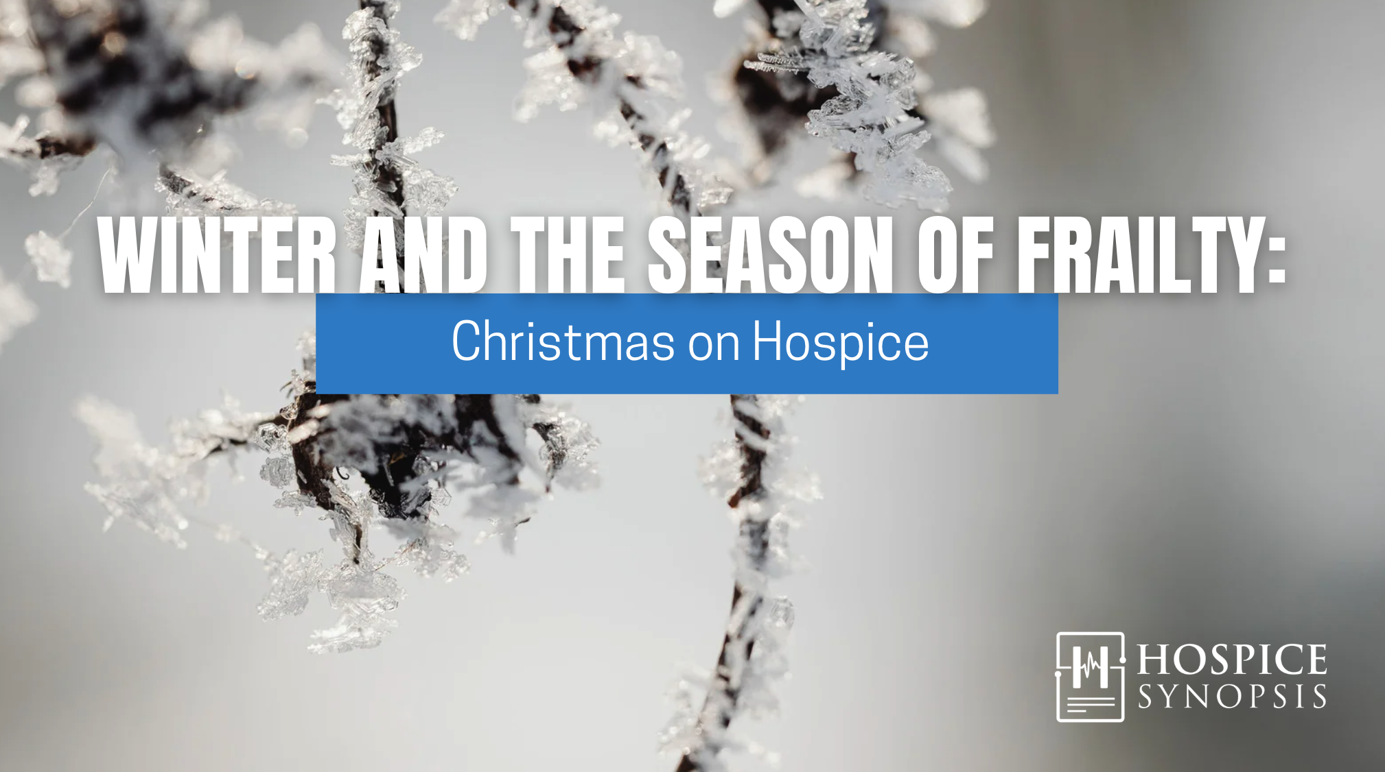 Winter and the Season of Frailty: Christmas on Hospice