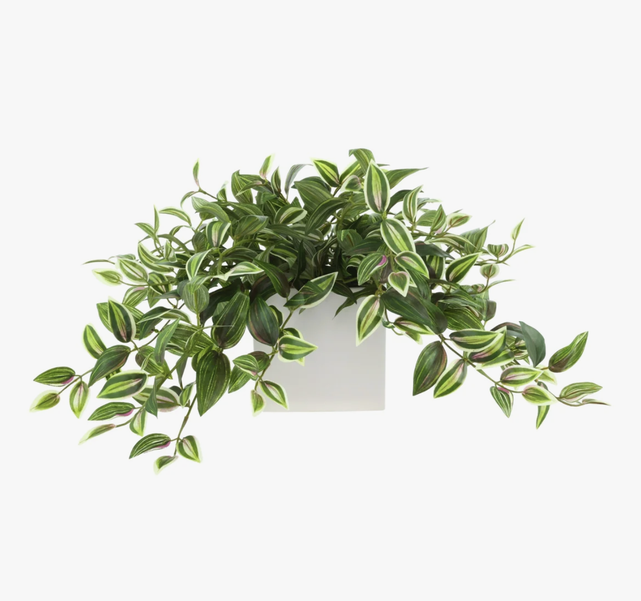 Karas Faux Tradescantia Plant in Ceramic Vase