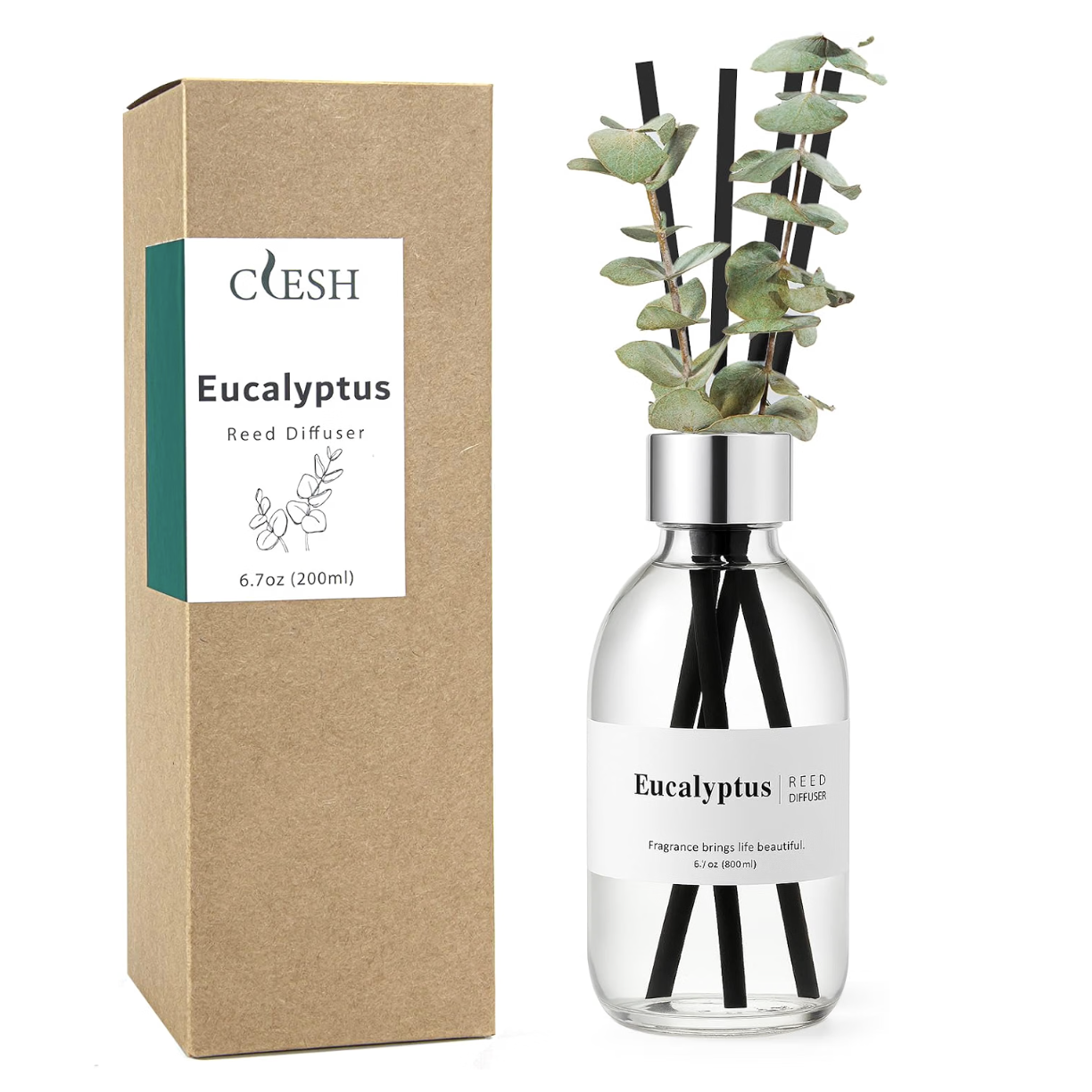 Clesh Reed Eucalyptus Diffuser Set