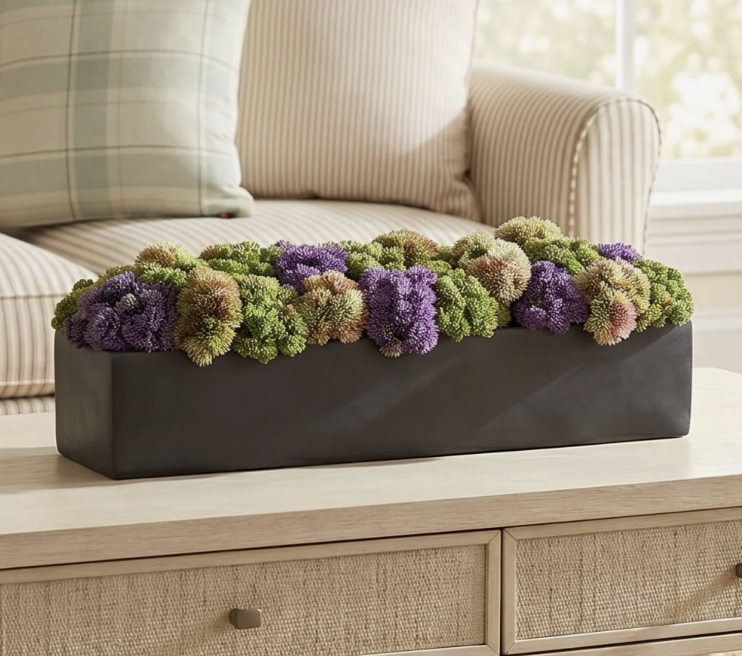 Sedum Floral Arrangement in Black Planter
