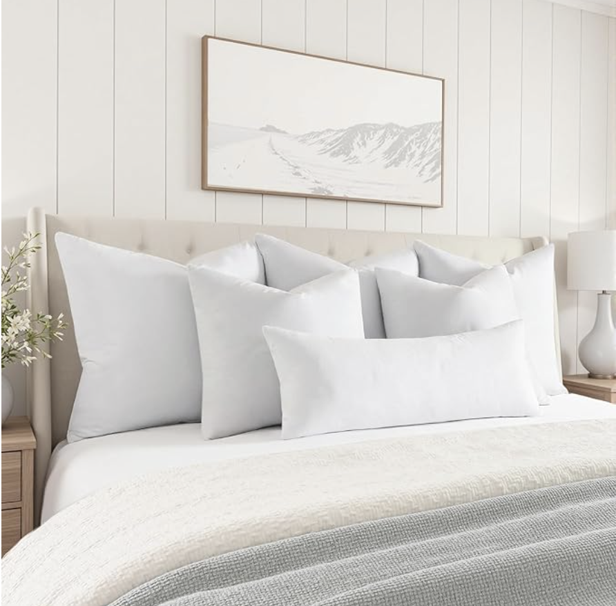 Throw Pillow Insert