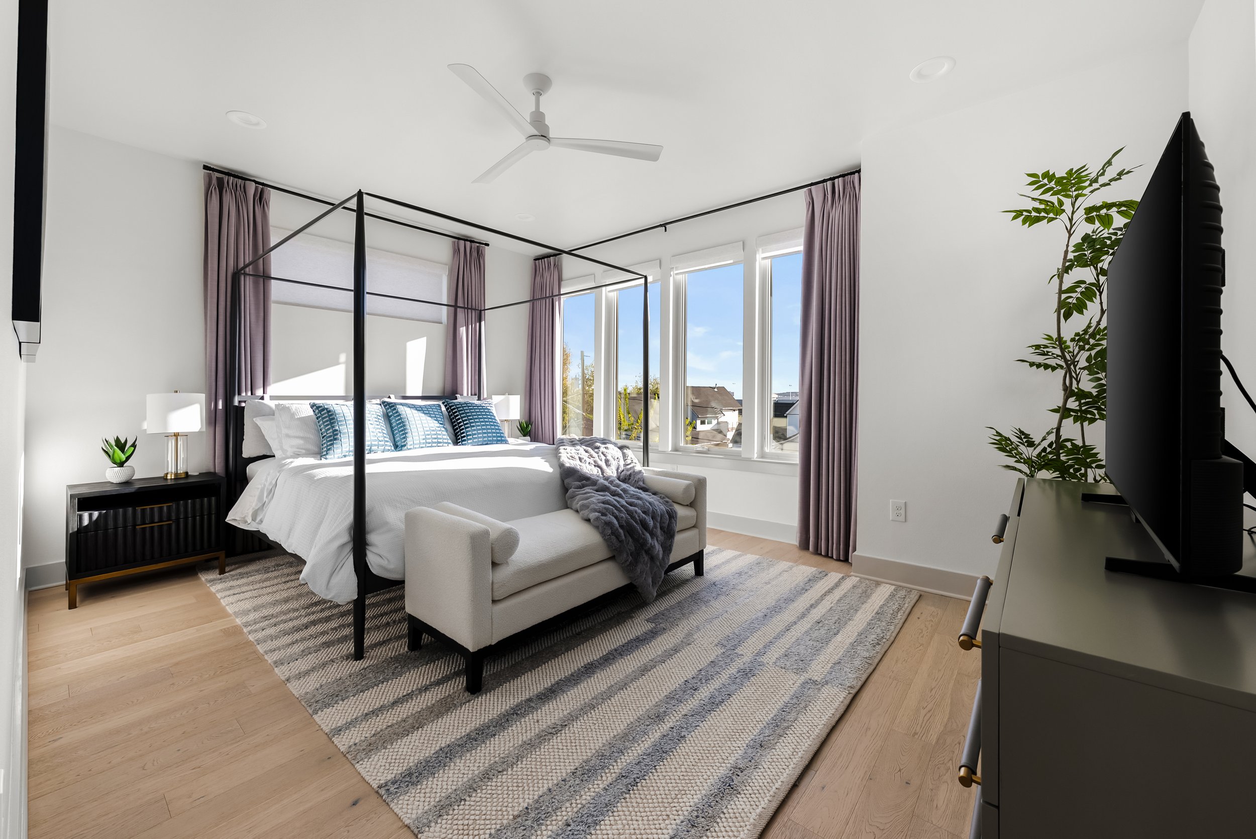 Bright modern bedroom with a white canopy bed, a small beige sofa with a gray throw, large windows with purple curtains, light wood flooring, a striped rug, a black nightstand with lamps and plants, and a TV on a gray dresser.