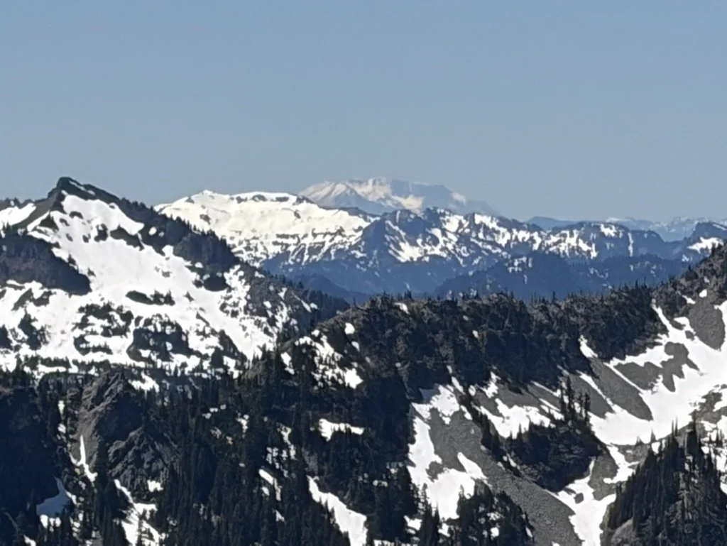 A5AA1F05-D7B1-4D63-868C-DC8C0EF374A8_1_105_c.jpeg