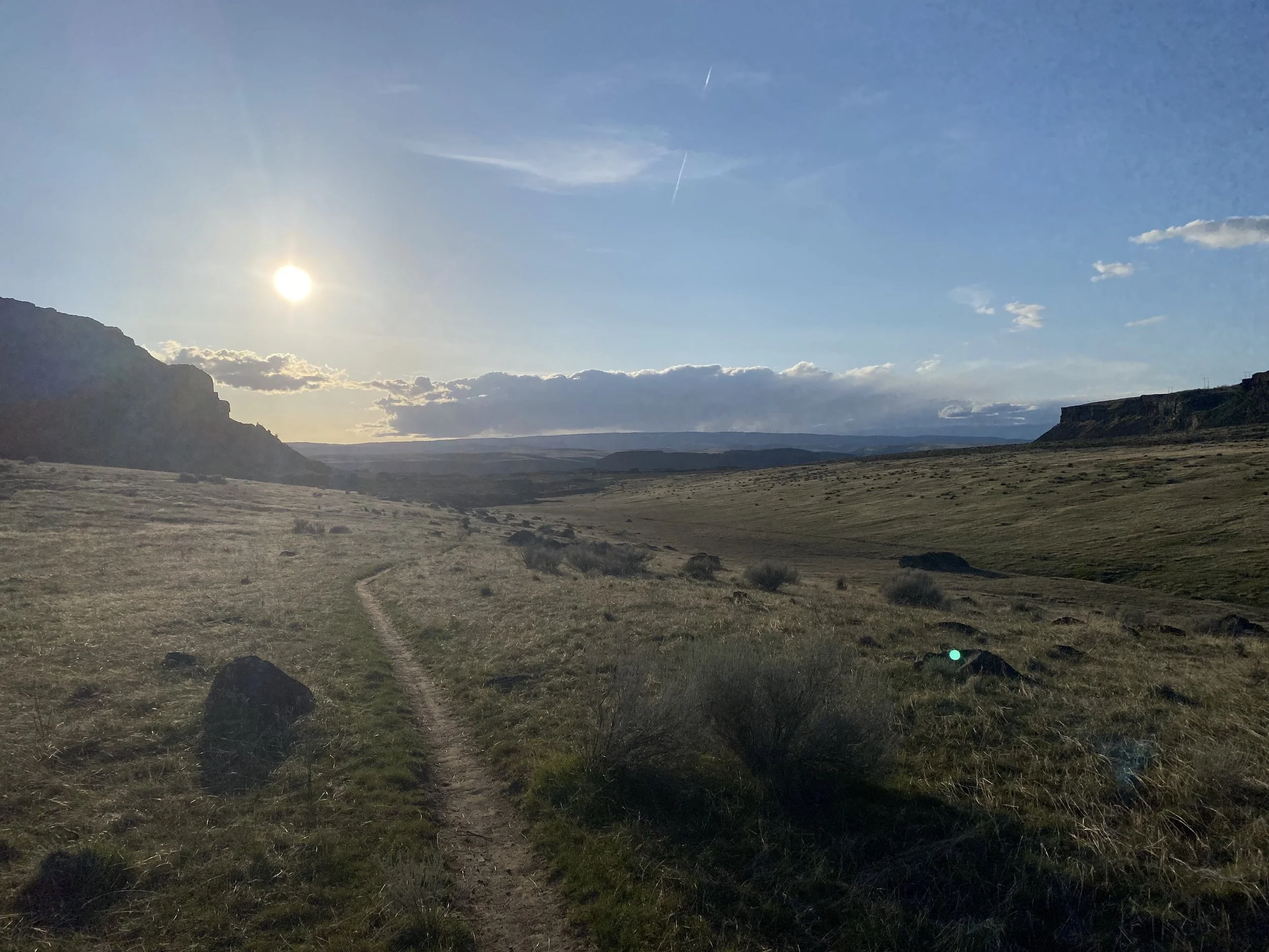 IMG_8062.jpeg