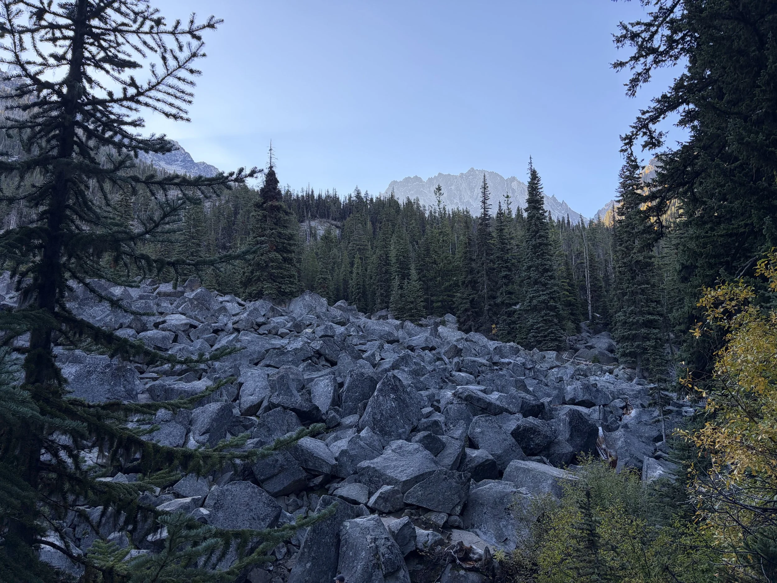 IMG_1264.jpeg