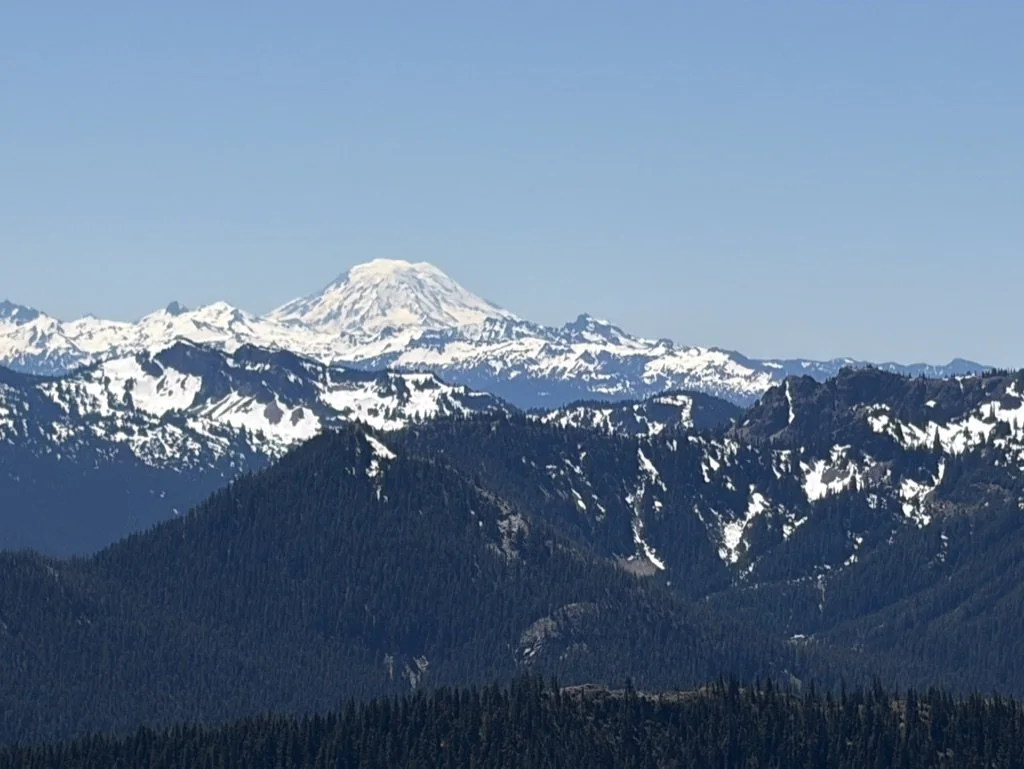 CA27E693-D373-40EB-BCB3-69F3B94A78F6_1_105_c.jpeg