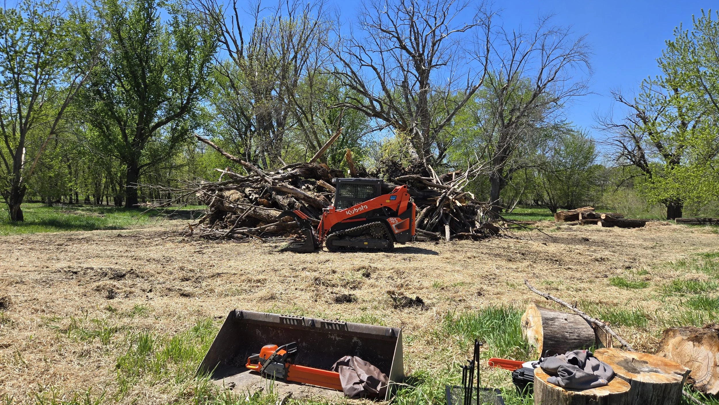 Cleared Downed Trees And Debris Off Building Lot