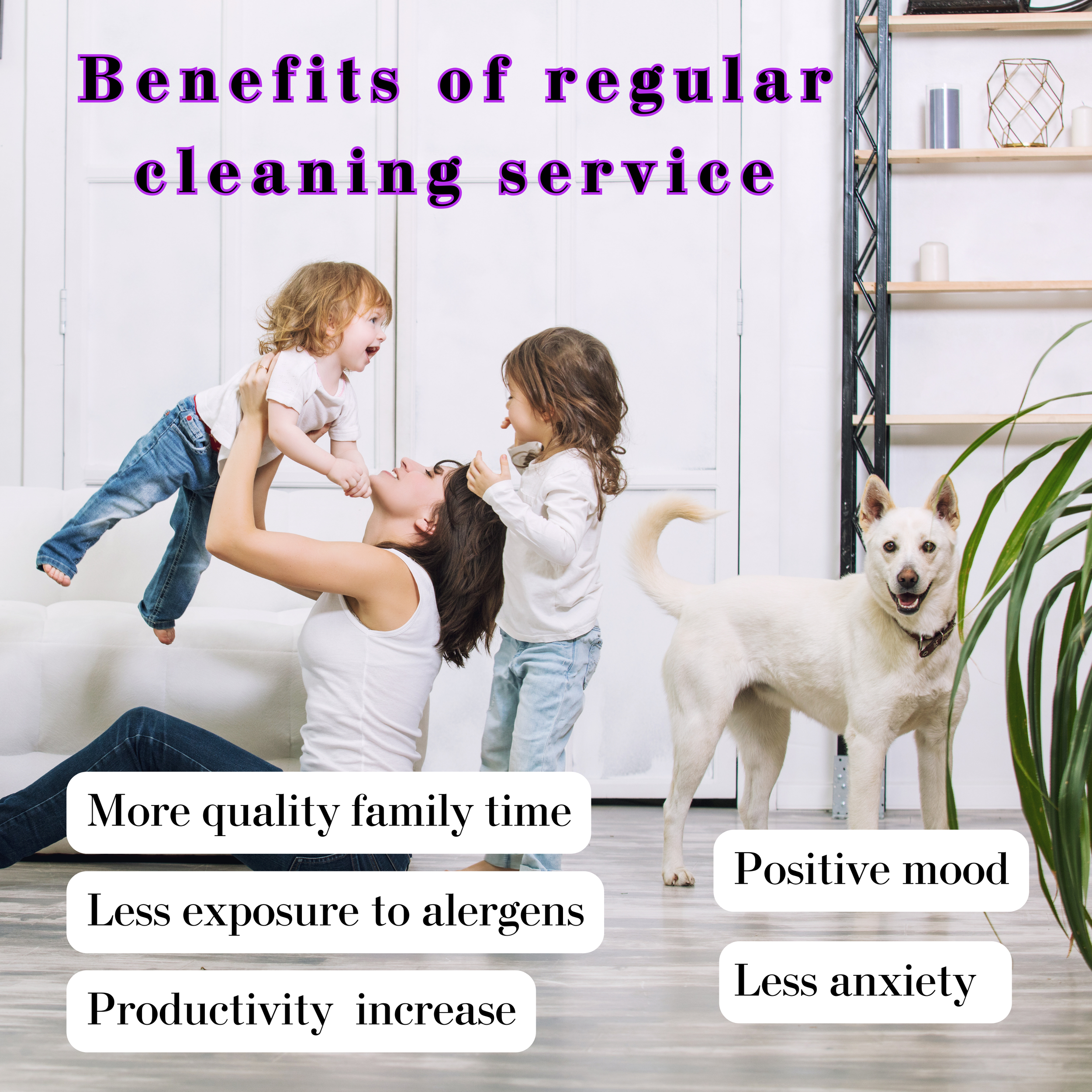 Stay Organized with Your Cleaning Routine: A Guide from Lady with The Toothbrush Cleaning in Vancouver