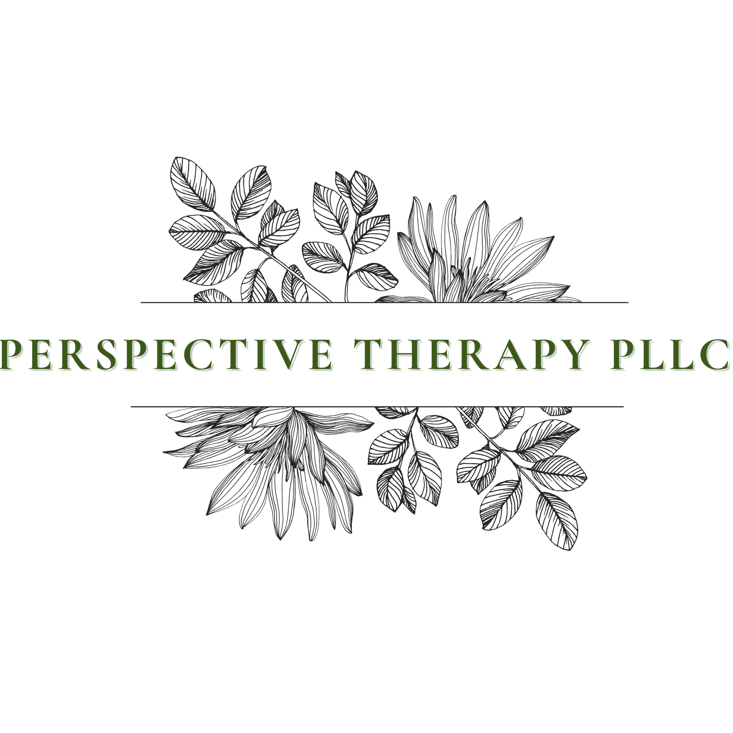 Perspective Therapy, PLLC                                                             Mitigation Services for Criminal Defense Private, Cash-Pay Psychotherapy
