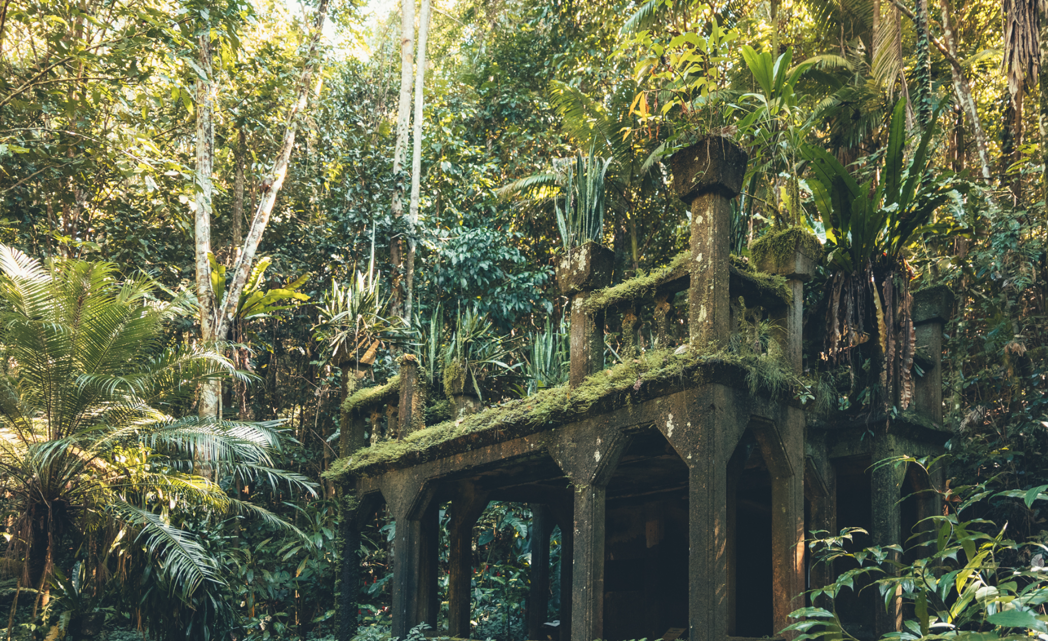 Discover Paronella Park