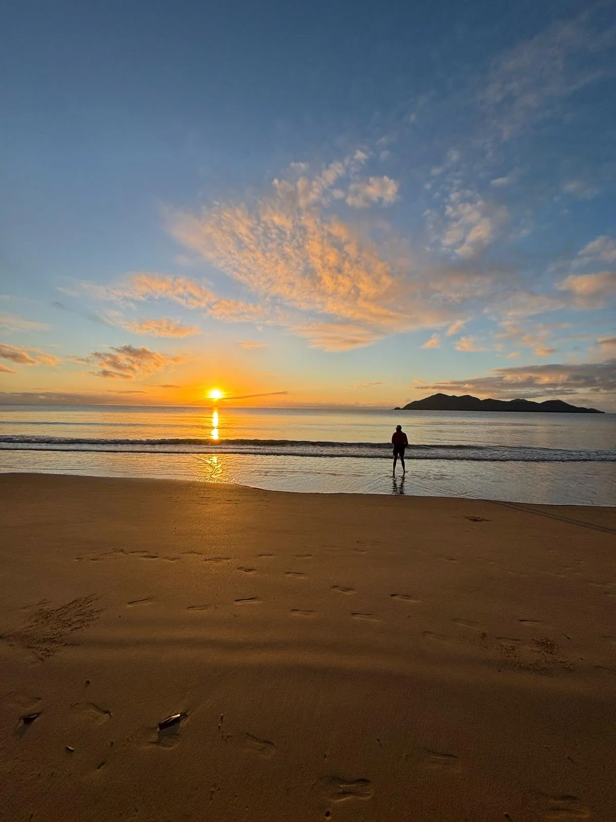 Solitary male watching the sun rise