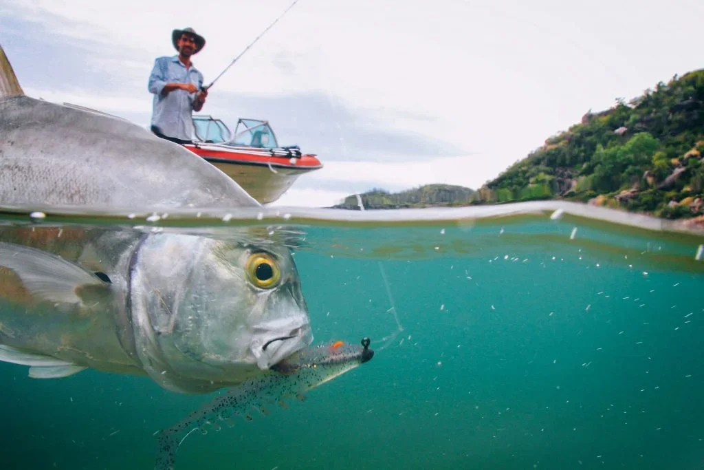 Gone Fishing: 