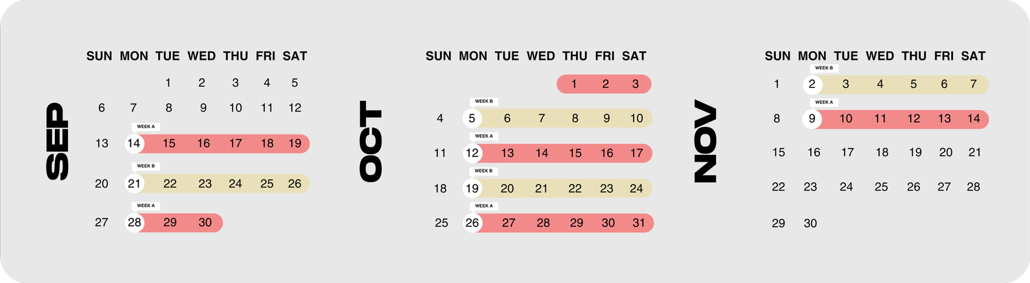 ZOE Connect Groups Calendar