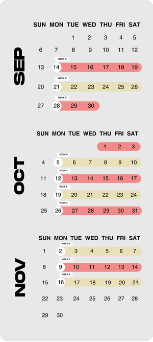 ZOE Connect Groups Calendar