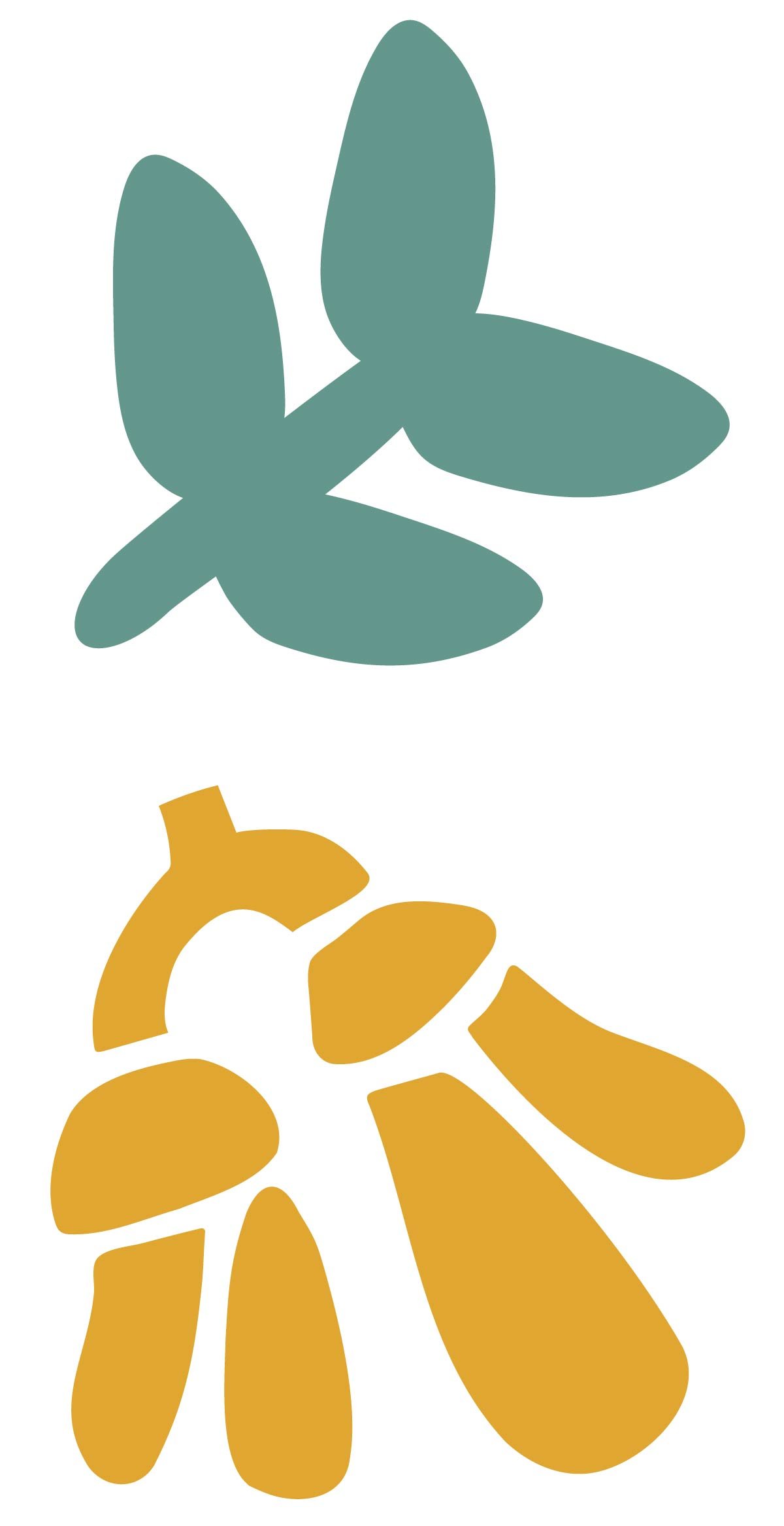 Two abstract shapes resembling leaves or petals, one in teal at the top and one in mustard yellow at the bottom.