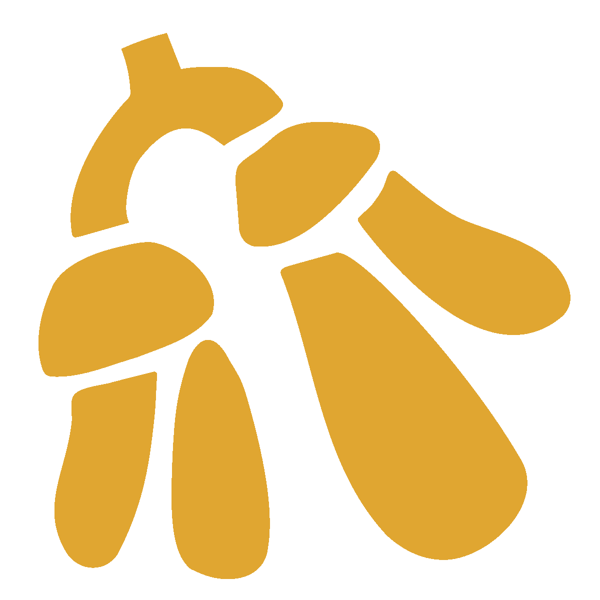 Simple green leaf logo design on white background