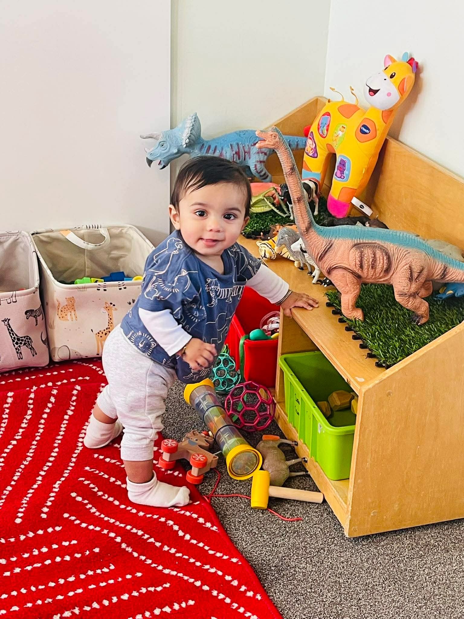 A young child is standing on a red rug with white dotted lines, surrounded by colorful toy dinosaurs, stuffed animals, and storage bins, in a playroom.