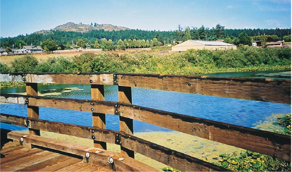 “It Was a Start”: Andrew Petter on the Origin of the Galloping Goose &amp; Lochside Trail