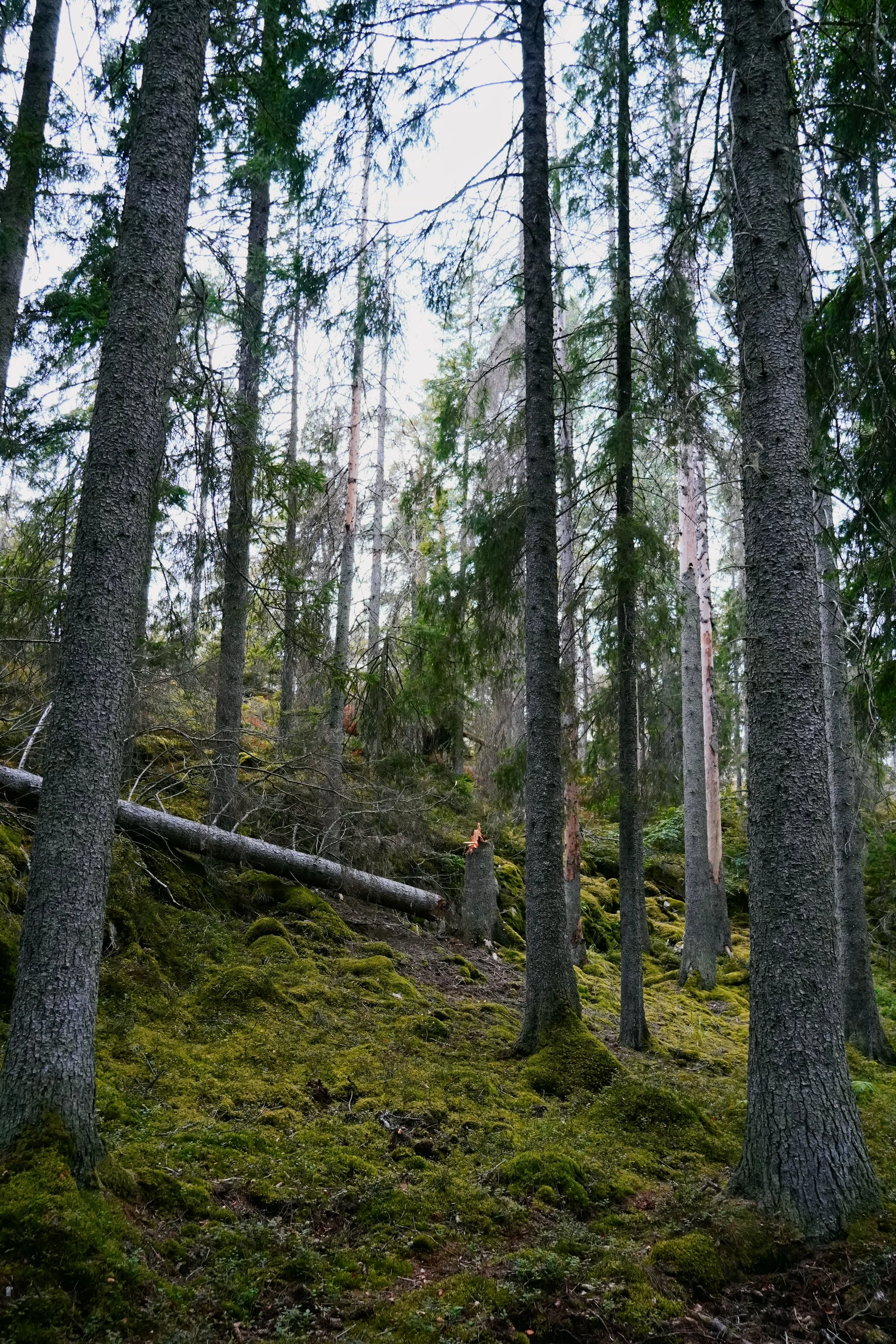 DSC01711.JPG