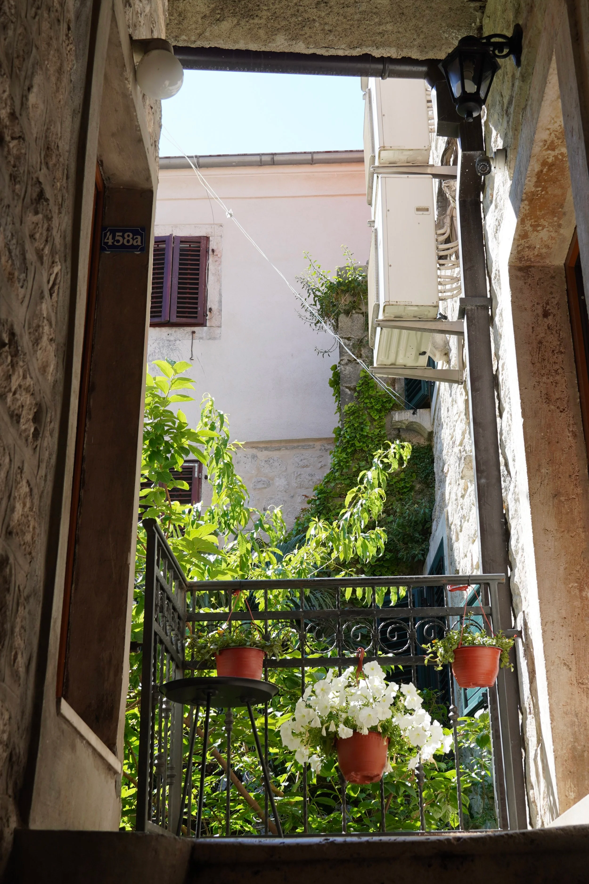 DSC09778.png