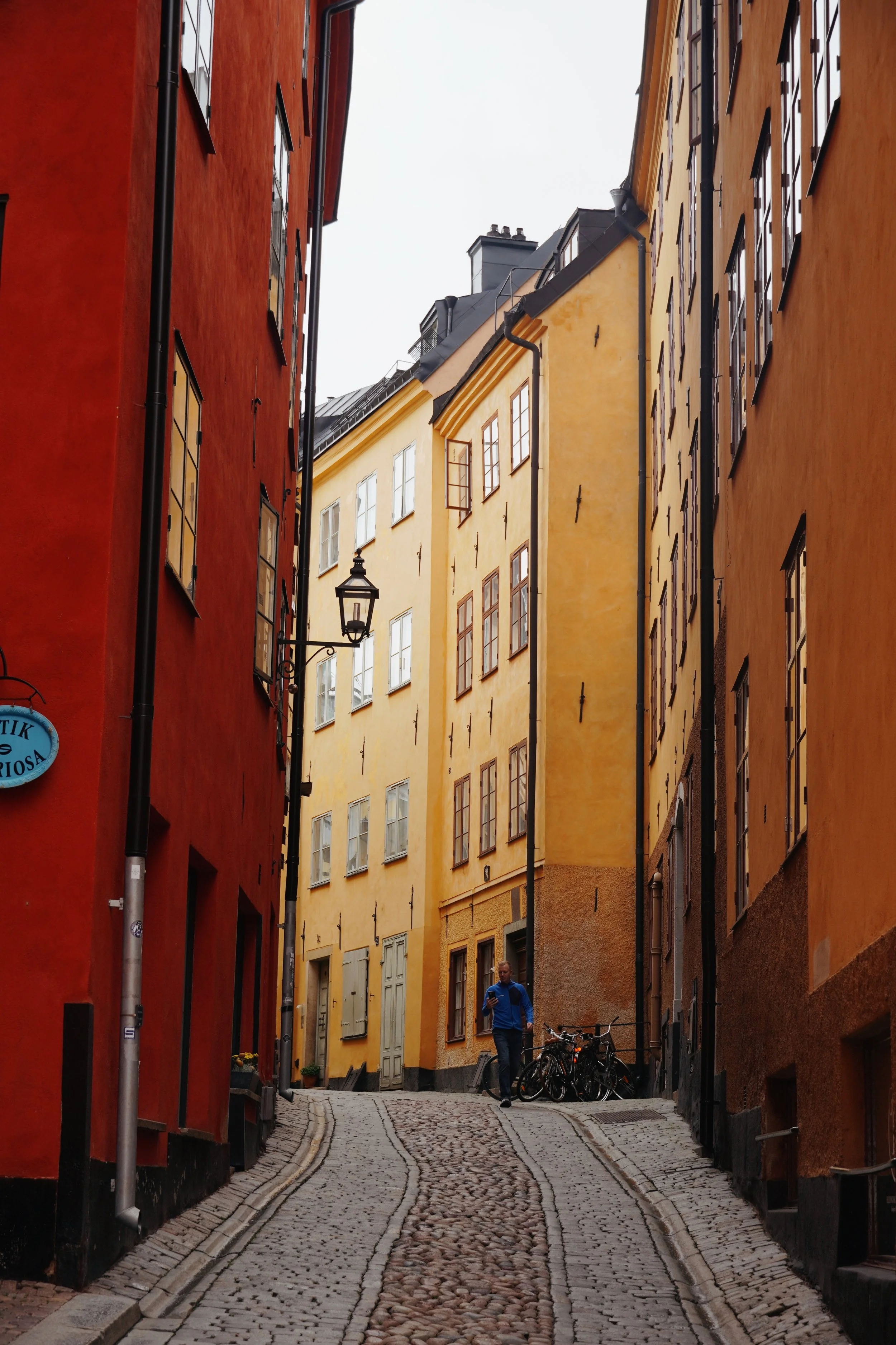 DSC01852.JPG