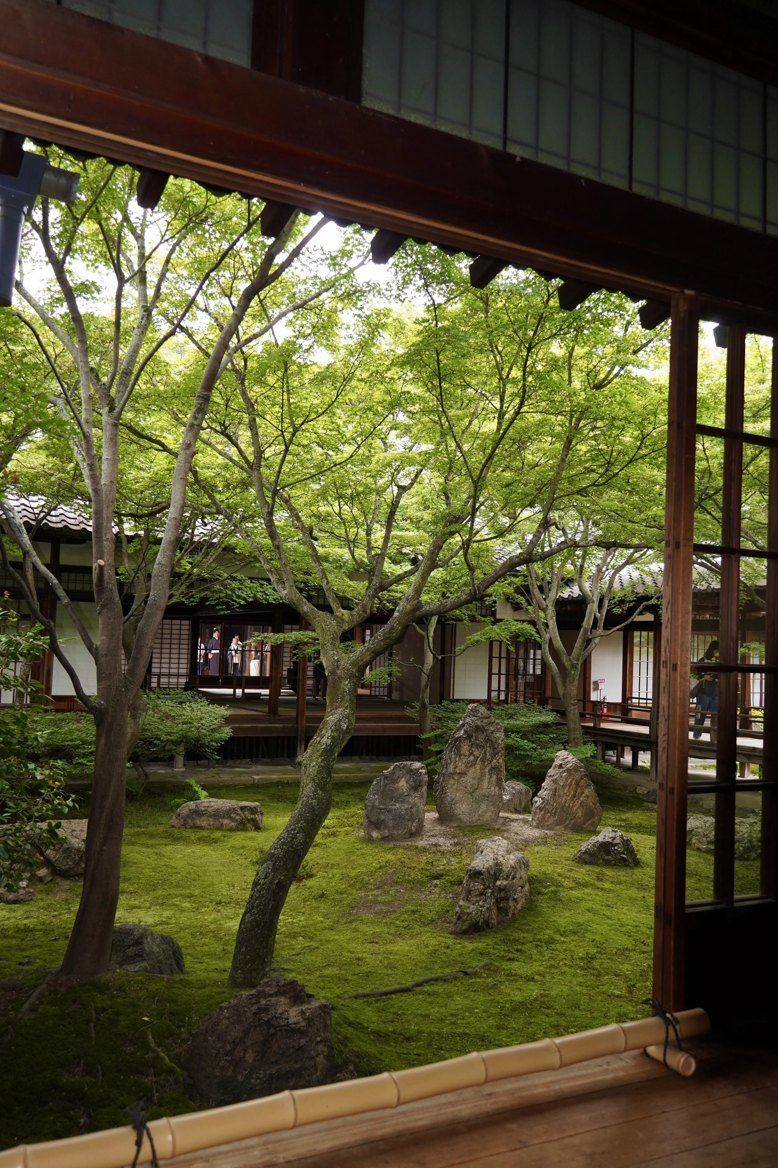 DSC07834.JPG