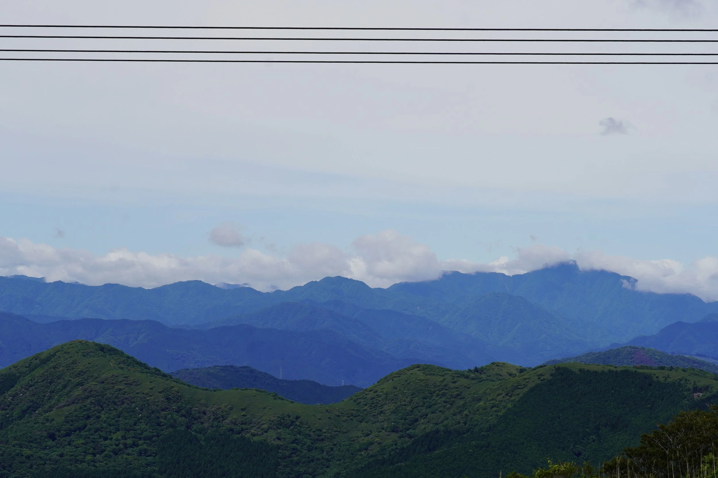 DSC09018.JPG
