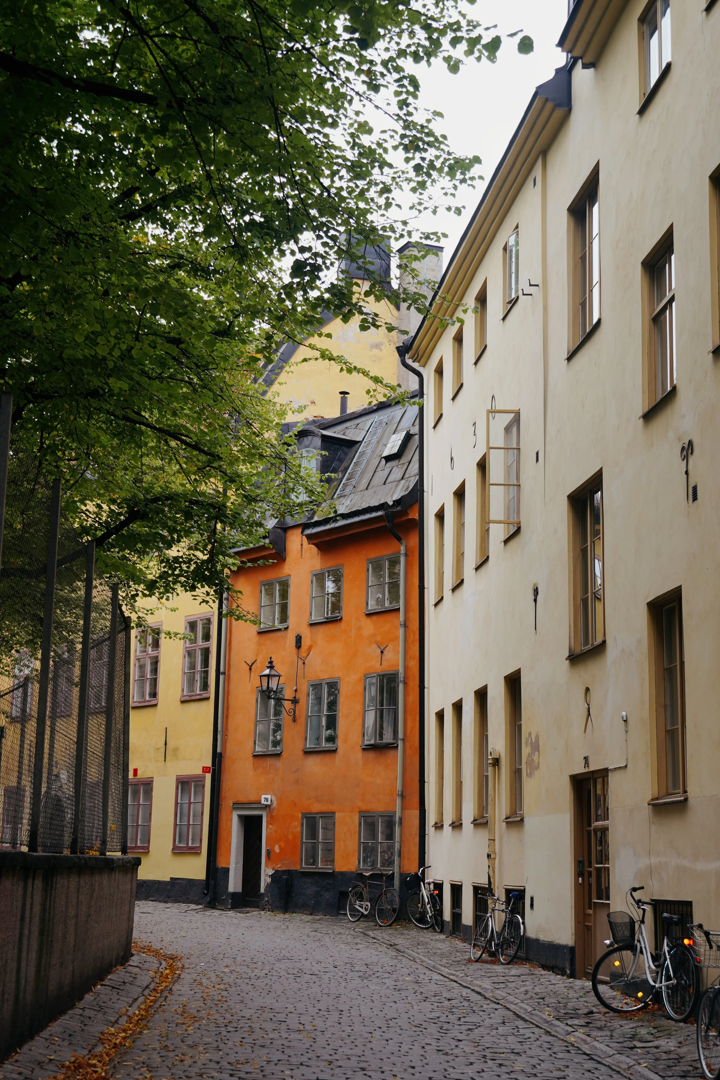DSC01873.JPG