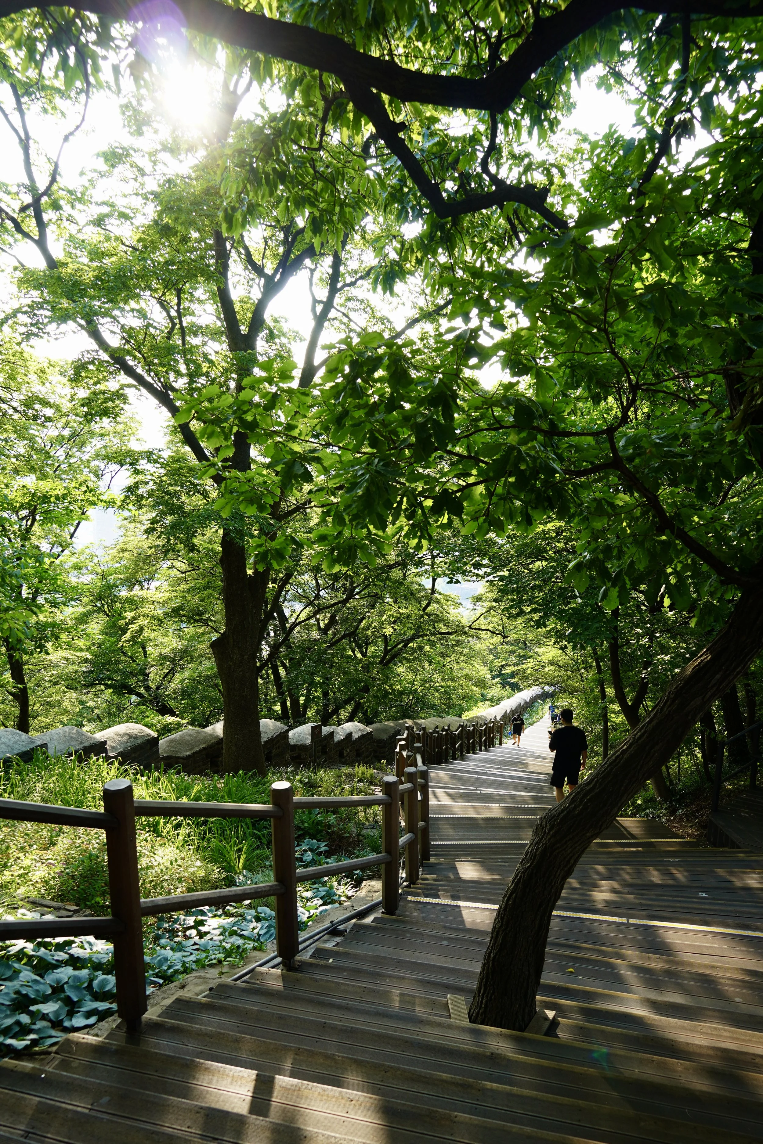 DSC06704.JPG