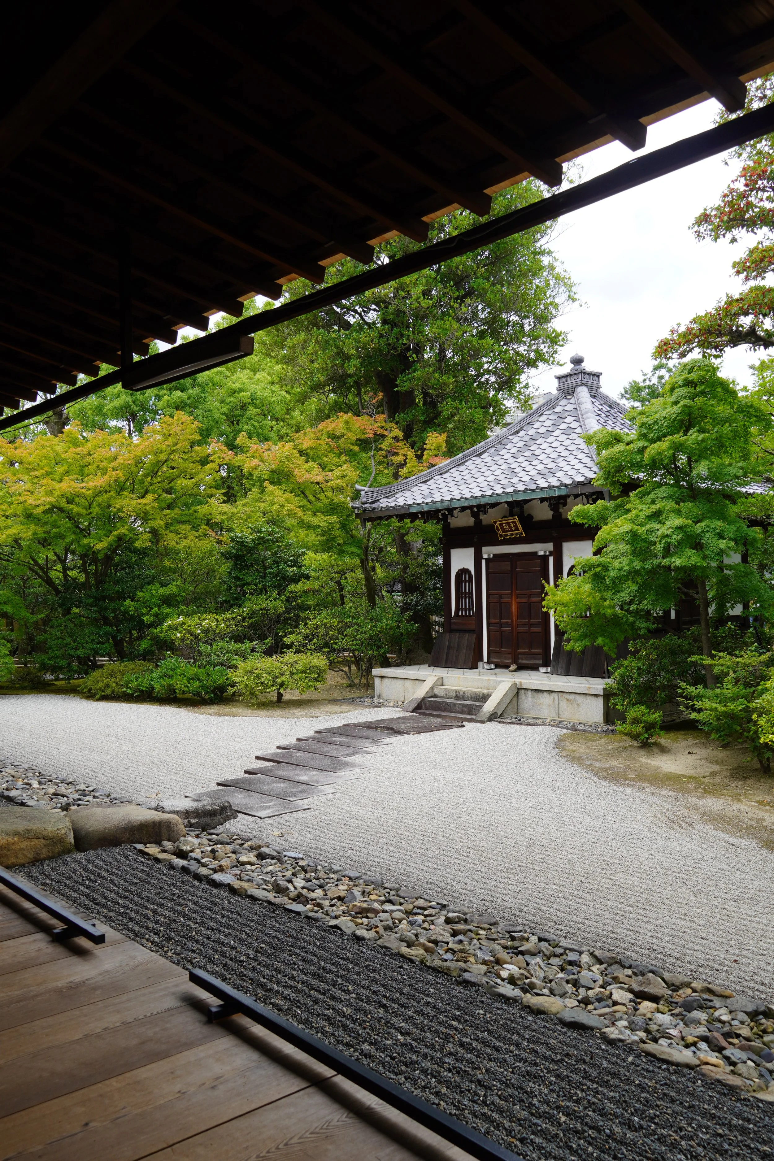DSC07882.JPG