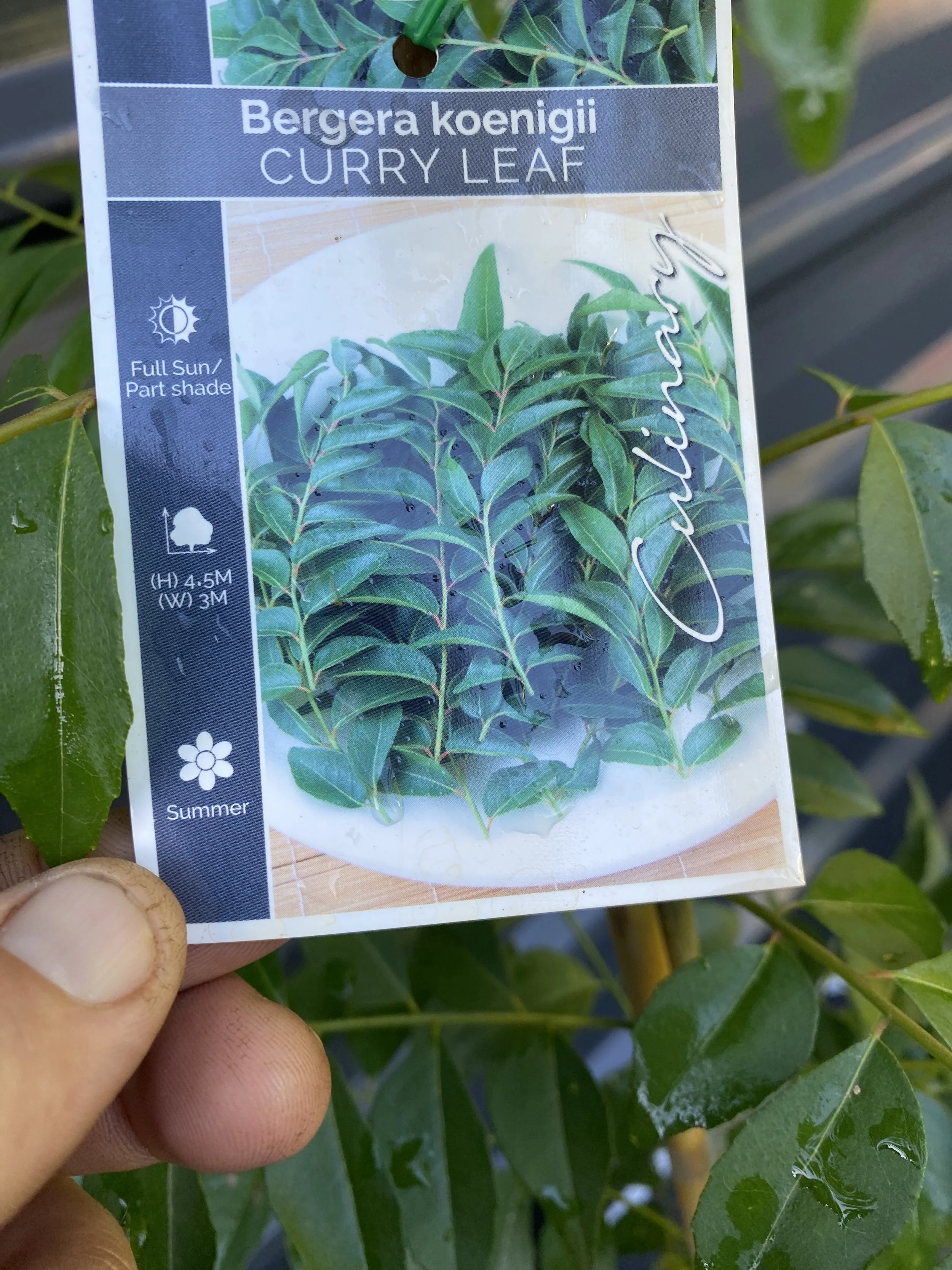 Photo 25-4-2026, 7 40 49 AM.jpg