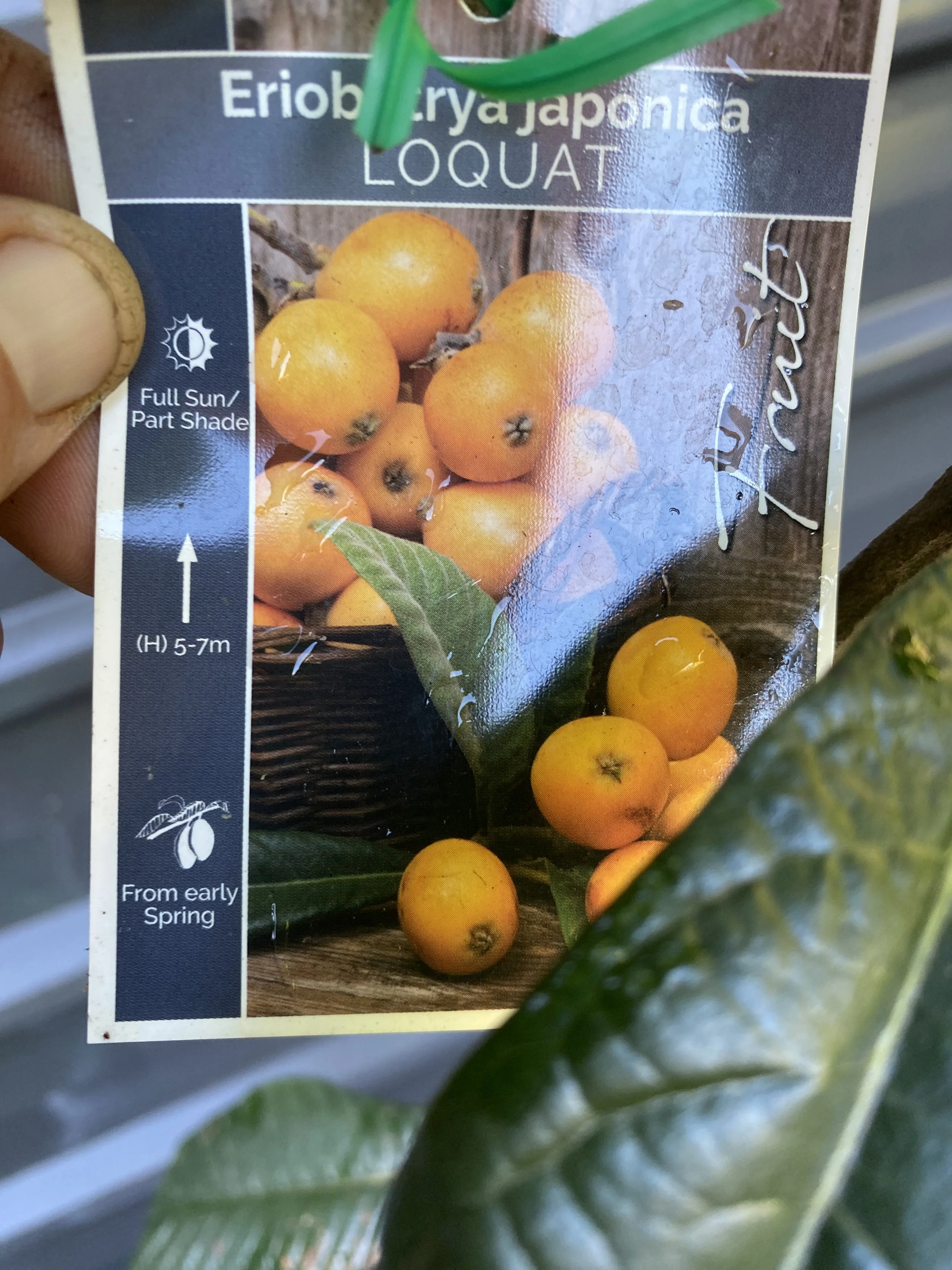 Photo 25-4-2026, 7 41 48 AM.jpg