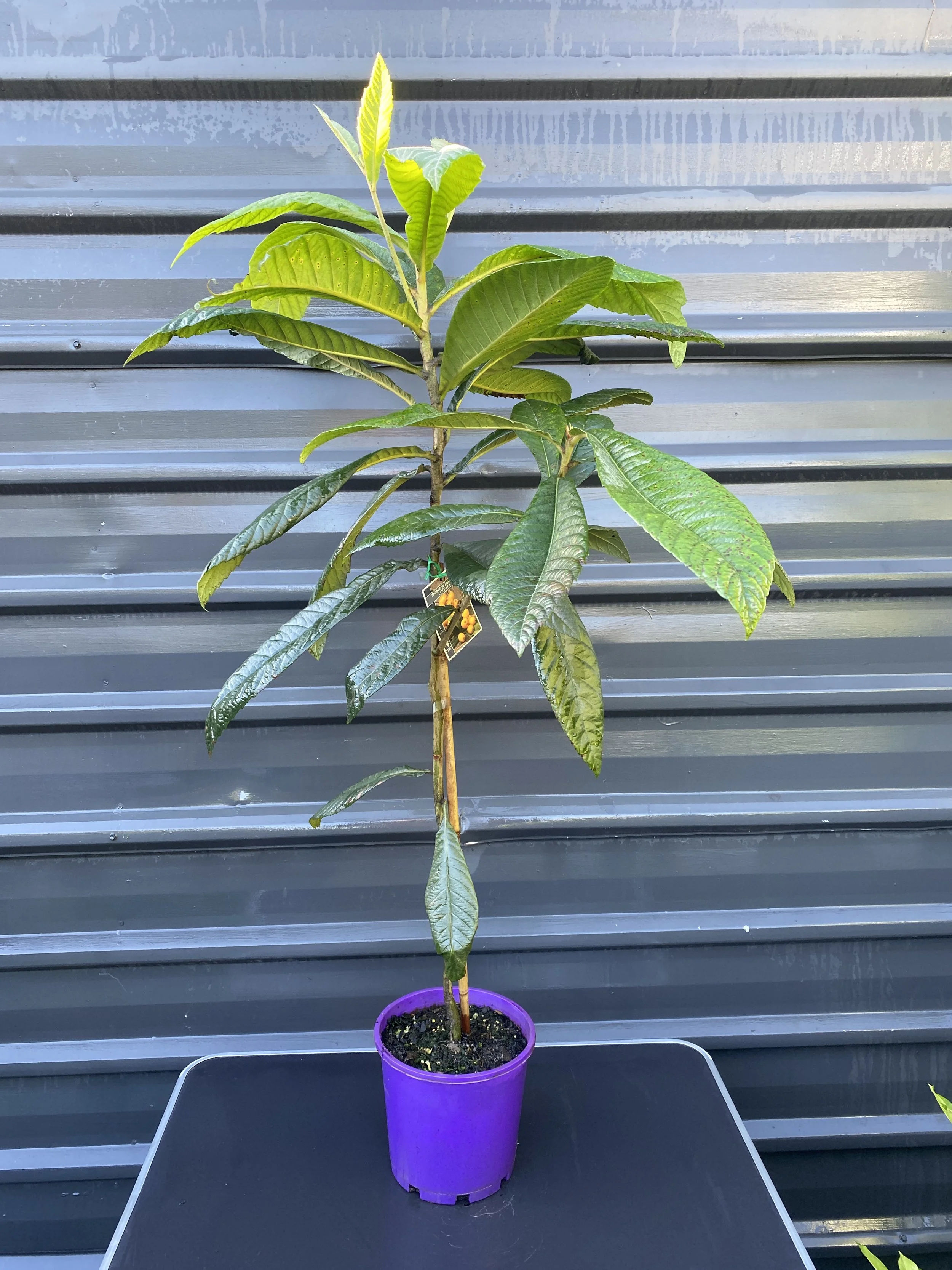 Photo 25-4-2026, 7 41 40 AM.jpg