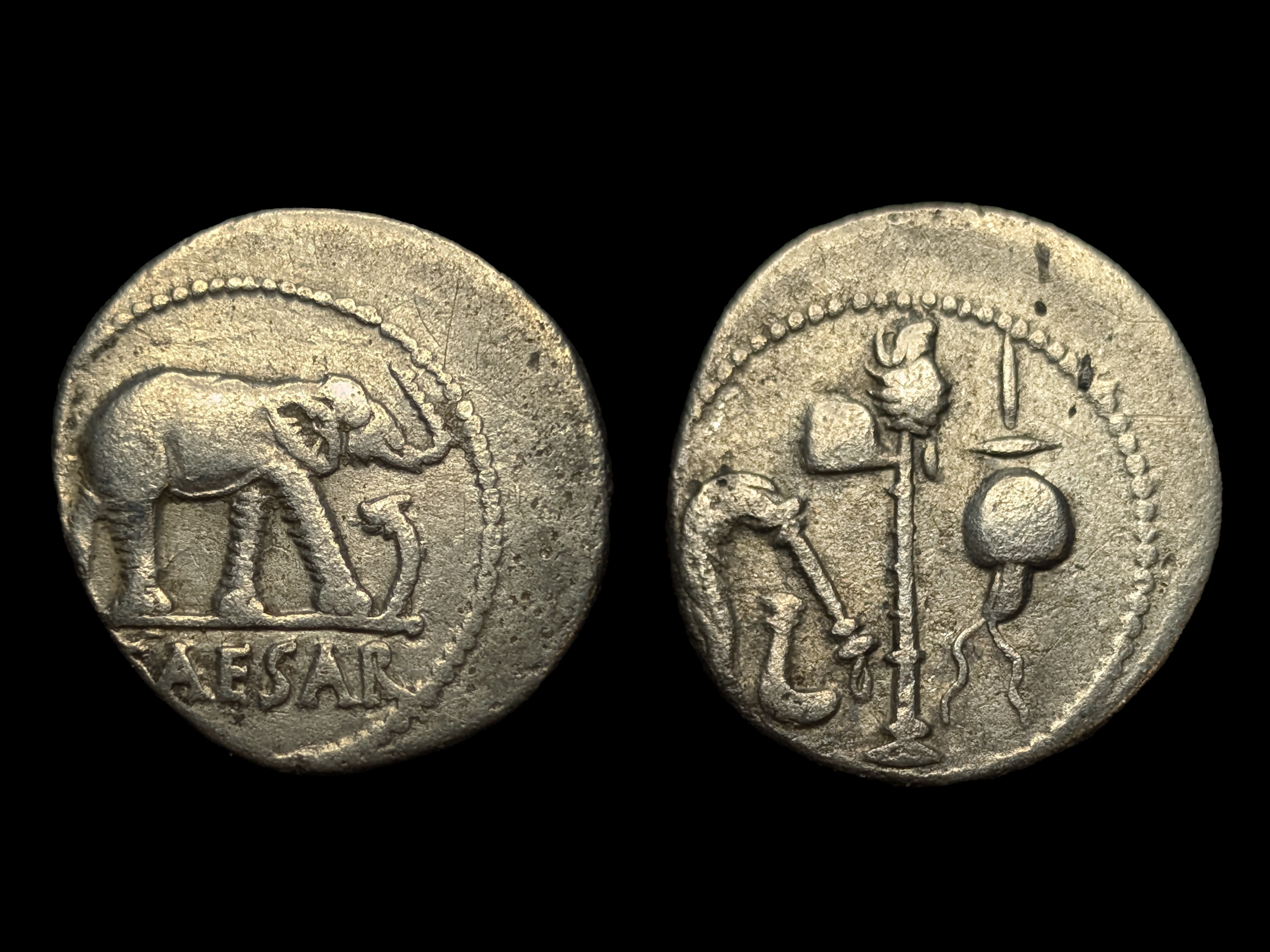 Julius Caesar AR Denarius Elephant Military Mint 49-48 BC - gF