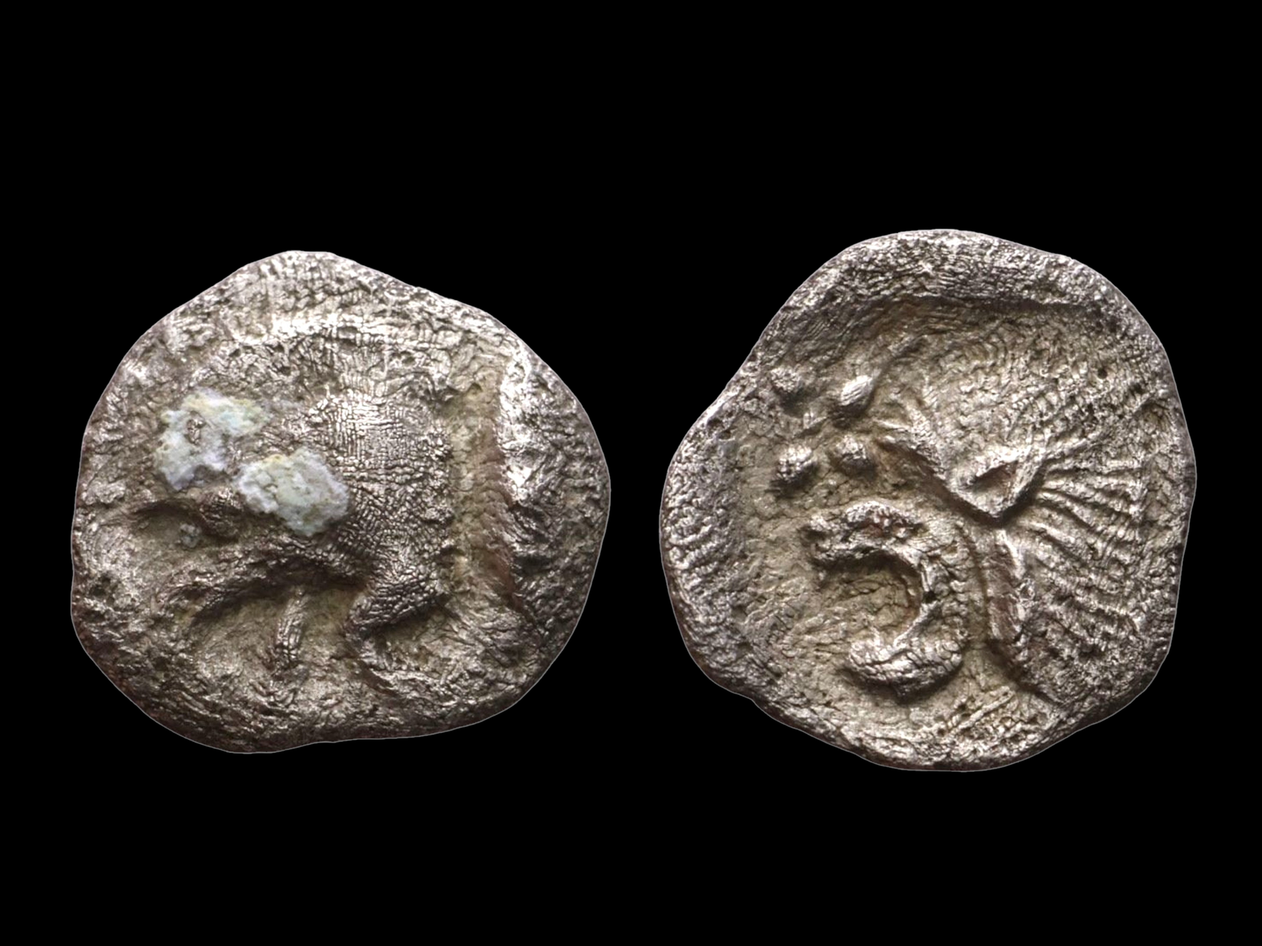 Ancient Greek Mysia Kyziko AR Hemiobol Boar / Lion c.450-000 BC - VF