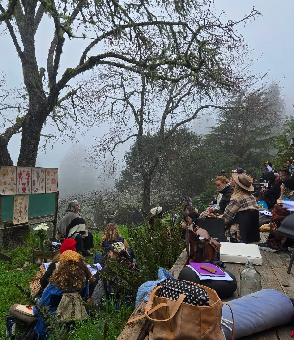 Day One of the lymphatic br**st and reproductive care training with Dhyana Essentials ♡ learning SO much life-changing information for myself and my clients in just a few hours. Three more full days of lecture &amp; hands-on practice to go, working o