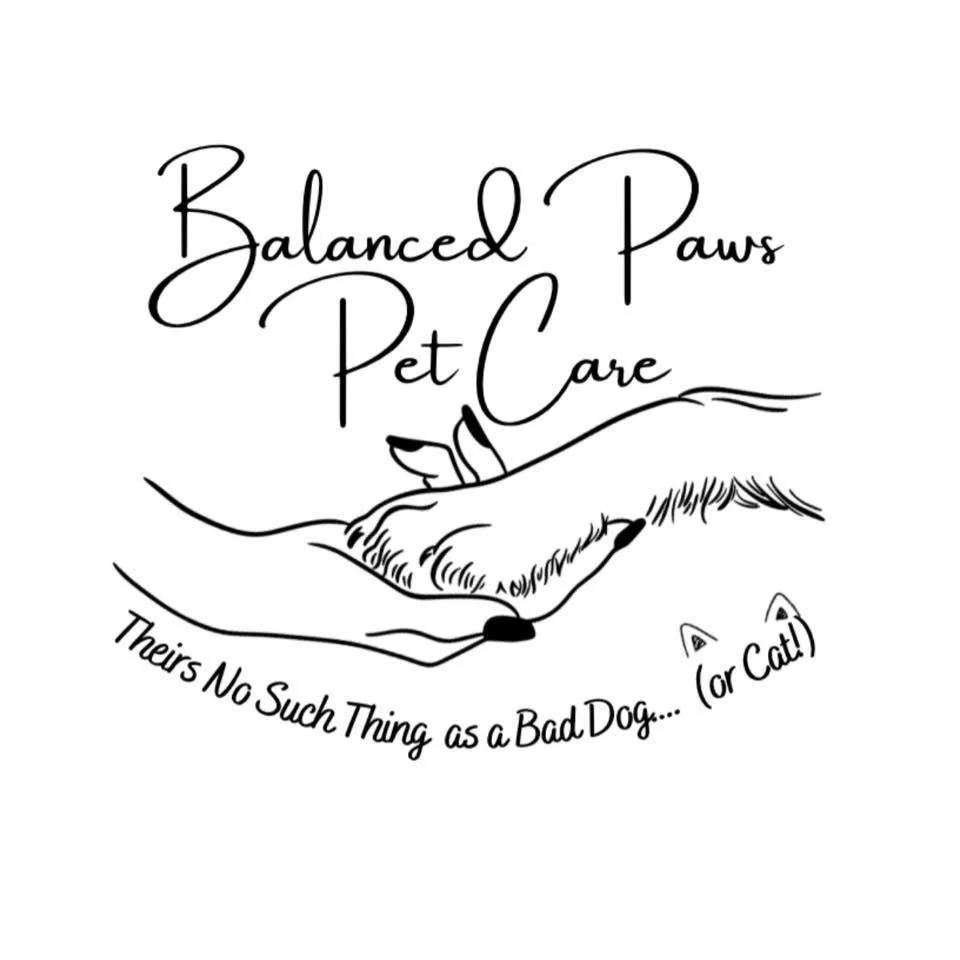 Balanced Paws Pet Care